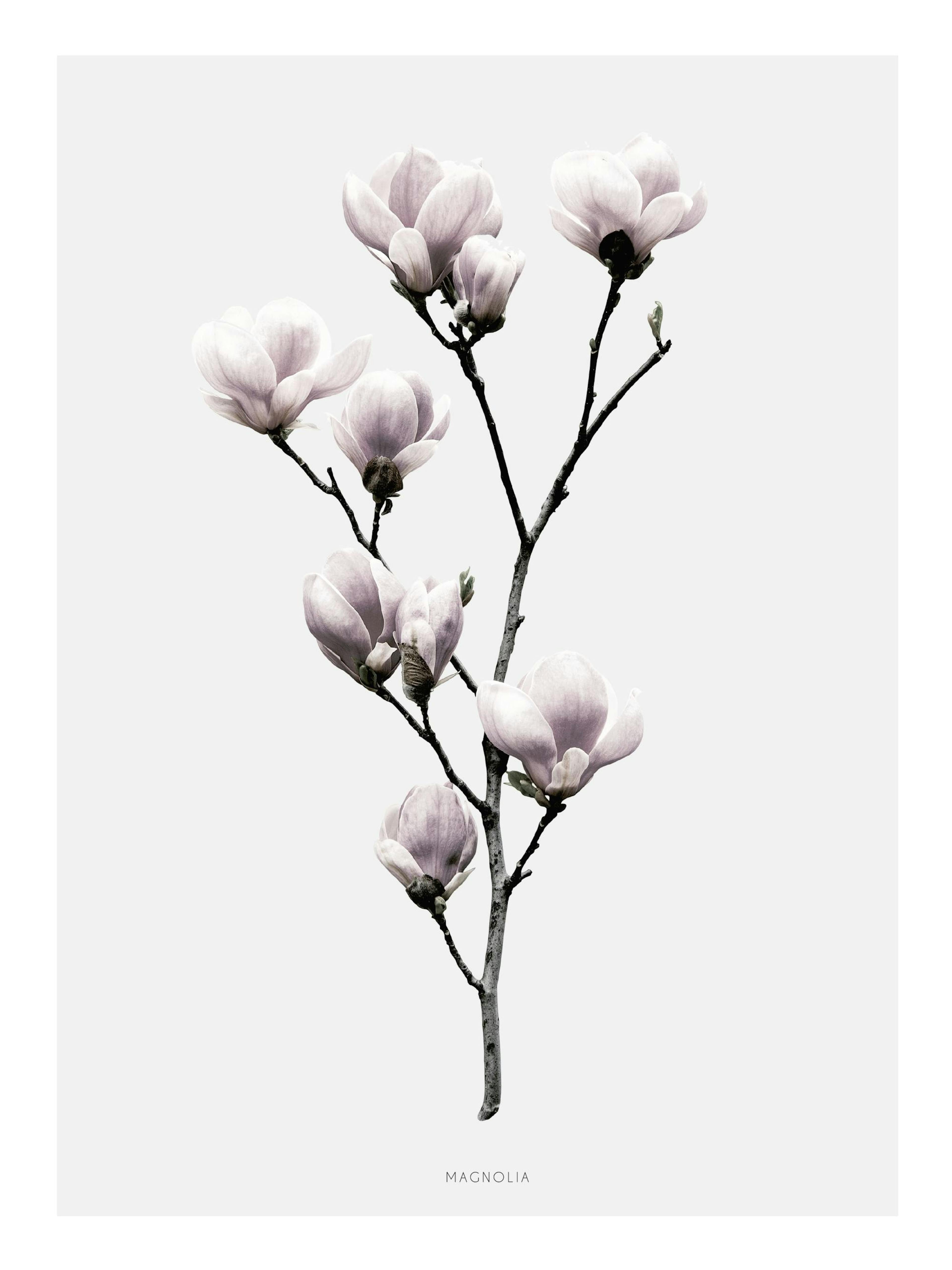 Product image: 1