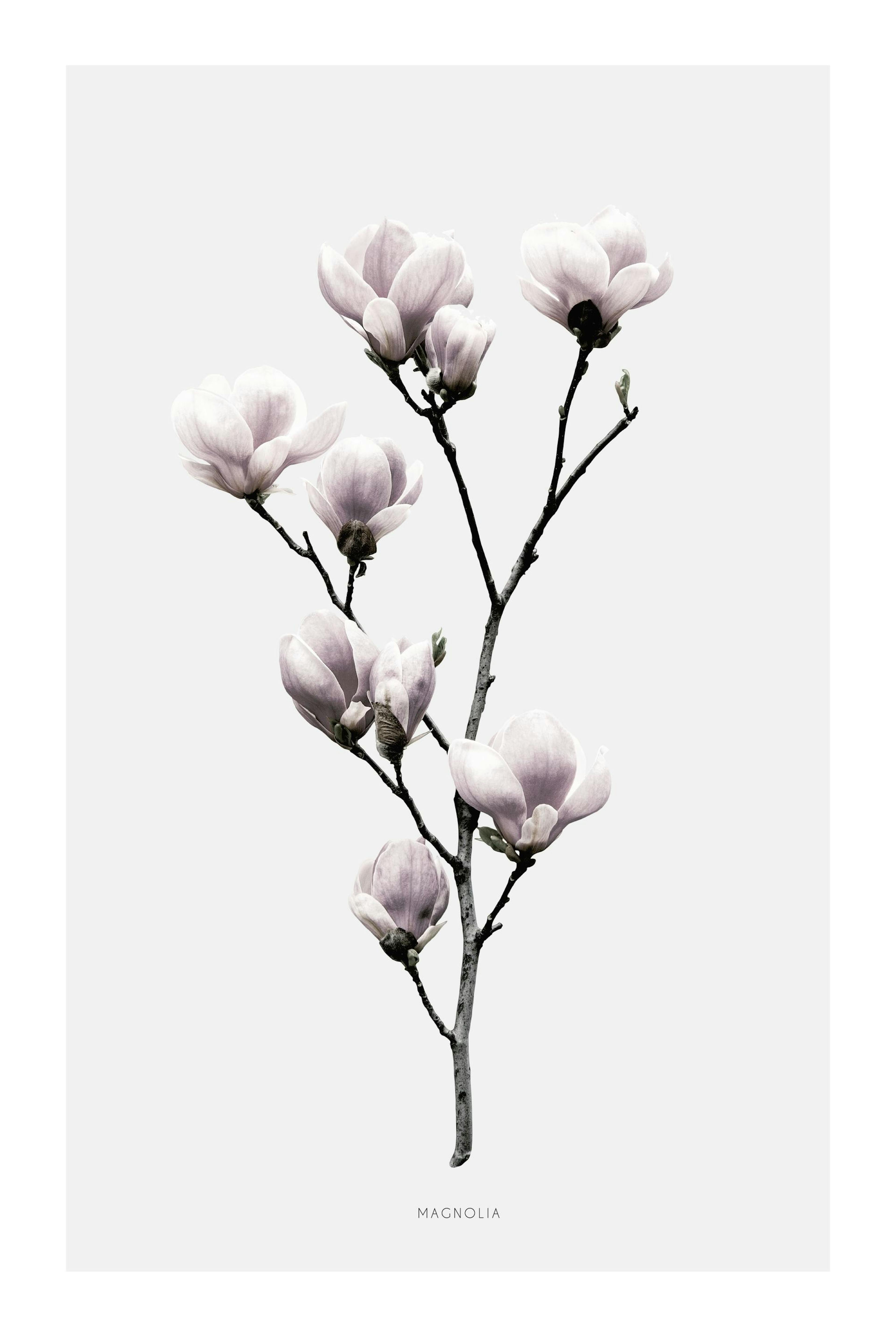 Product image: 1
