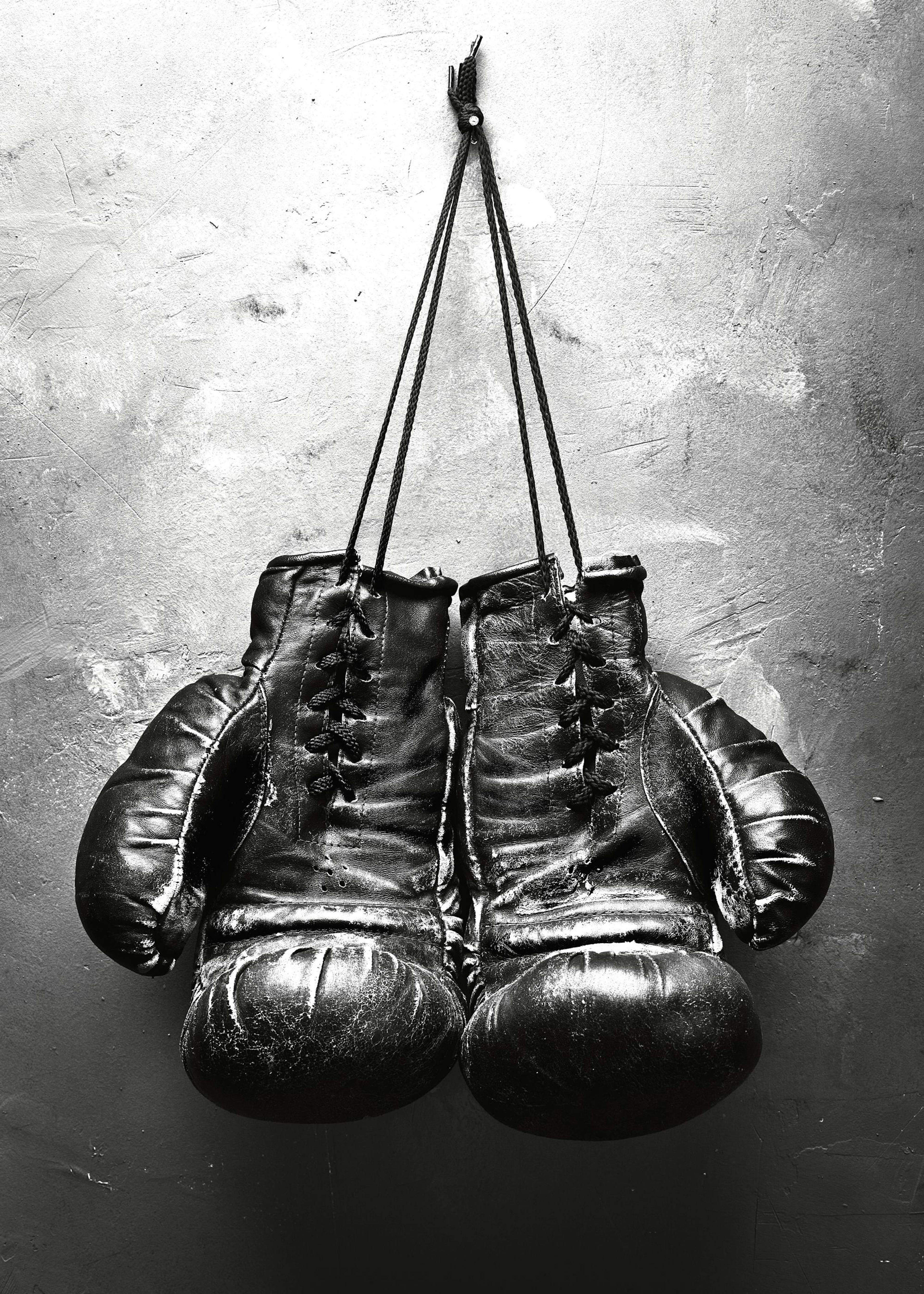 Guantes de Boxeo Póster 0