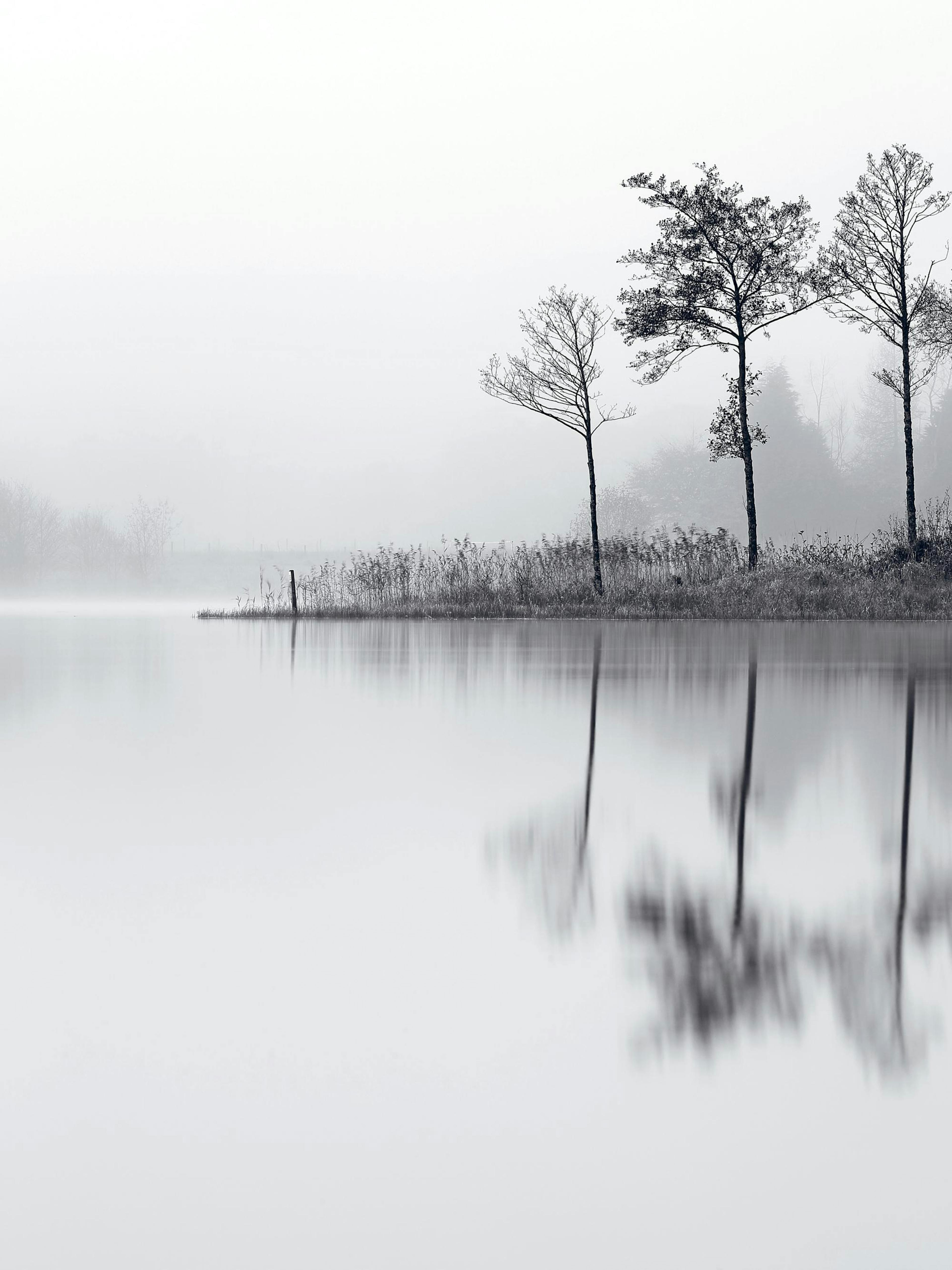 Stillness. Poster 0