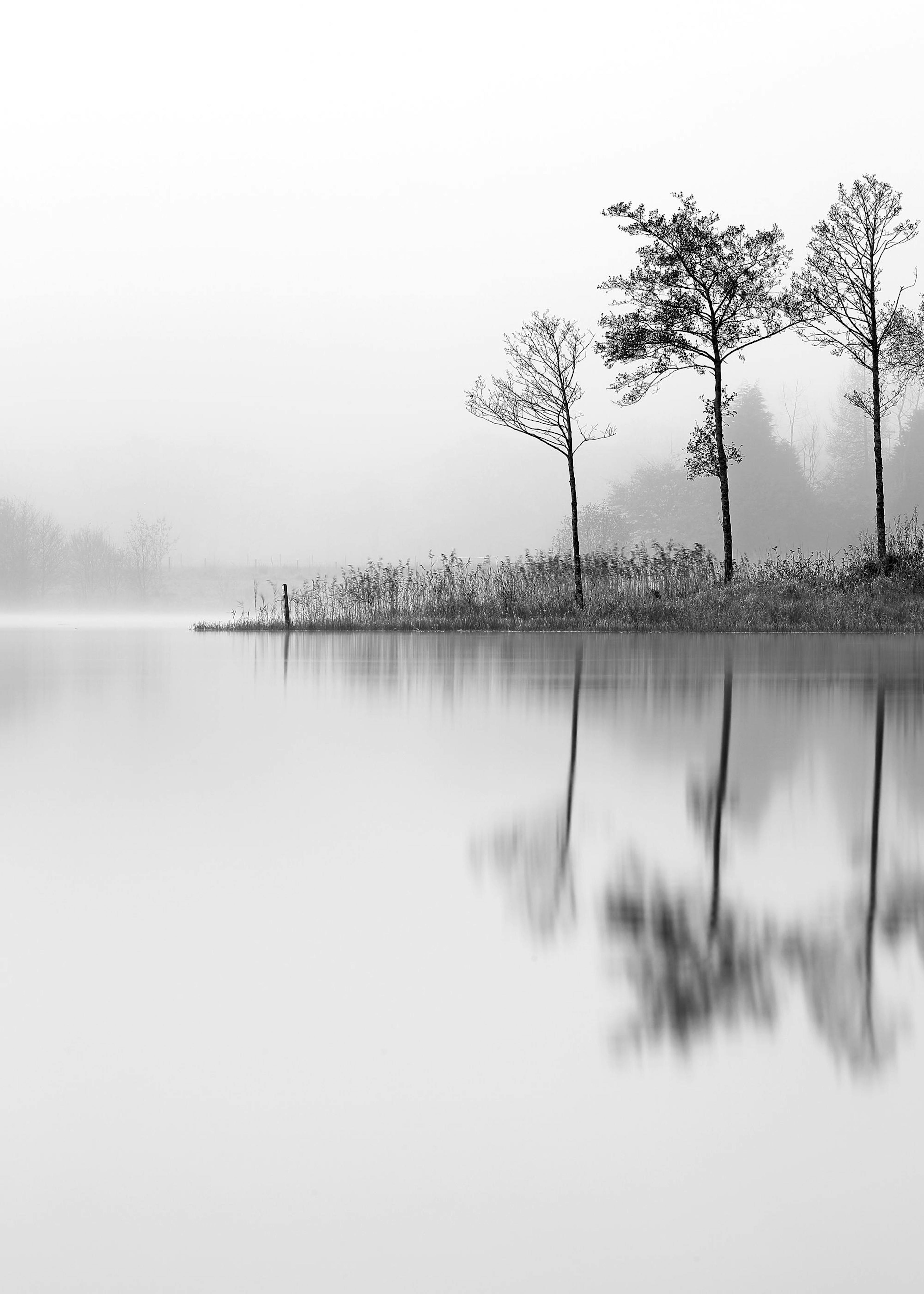 Stillness Poster 0