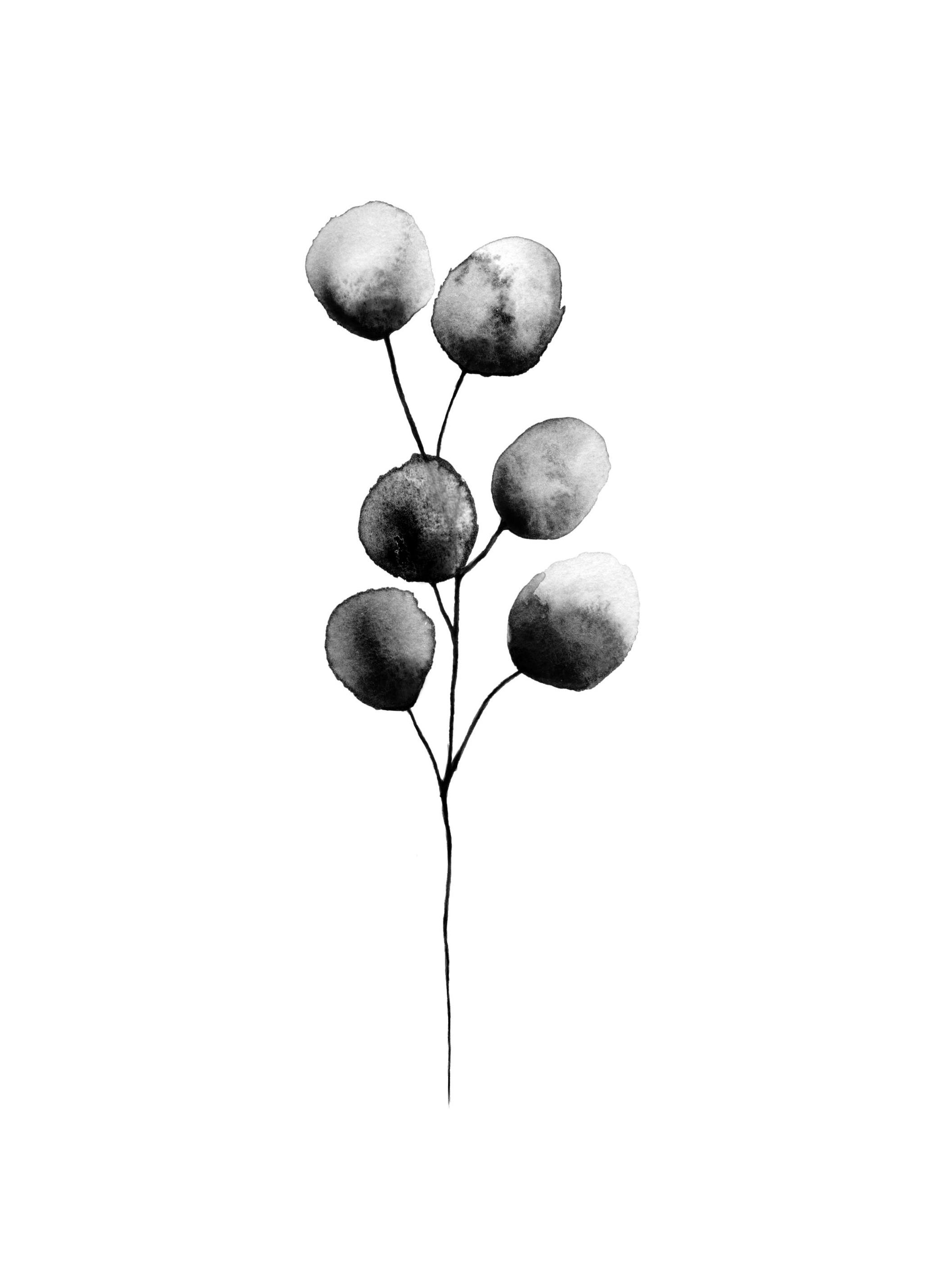 Eucalyptus akvarell Poster (13x18 cm) - Poster Store