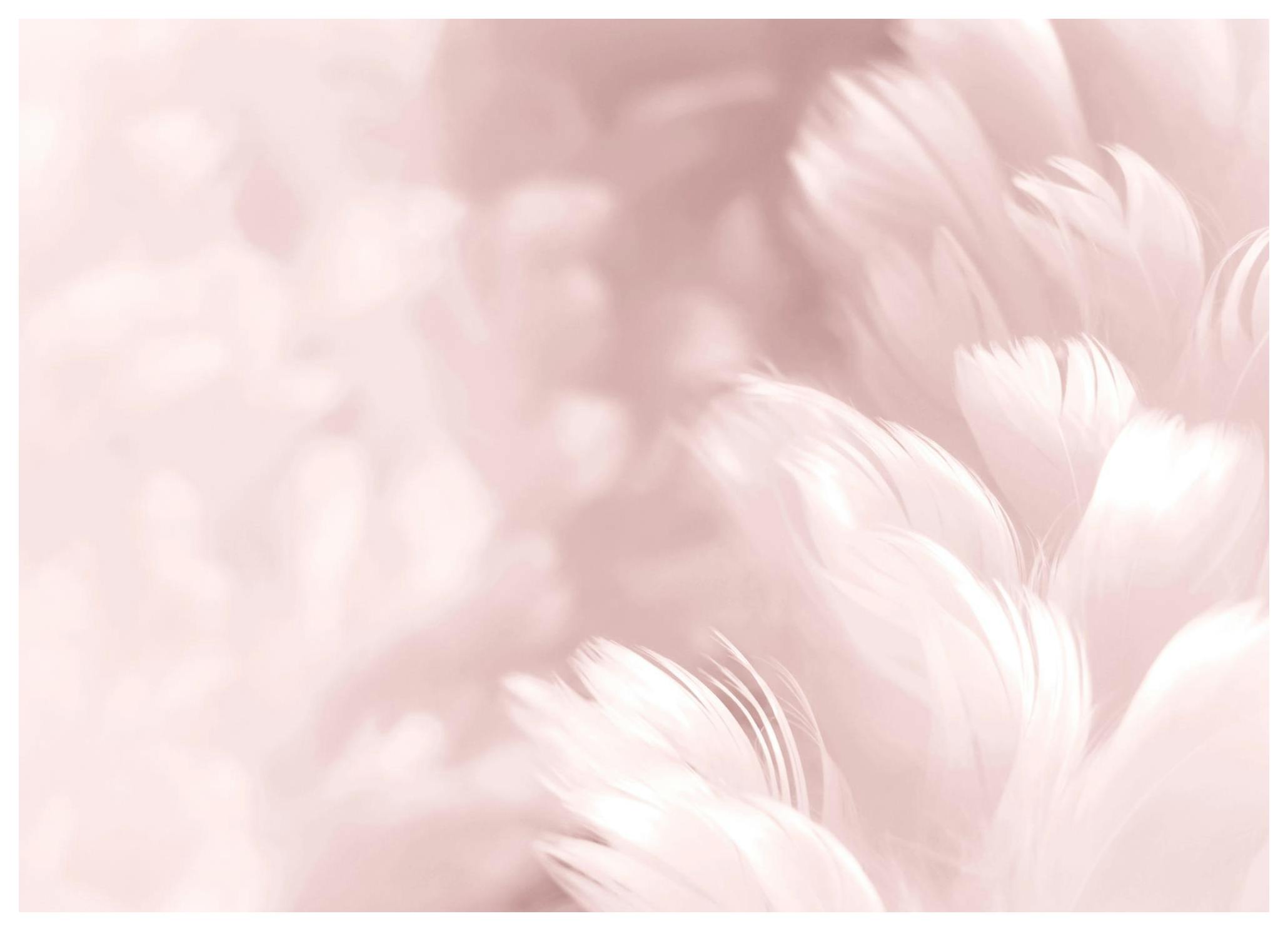 Pink Feathers Poster (21x30 cm) - Poster Store