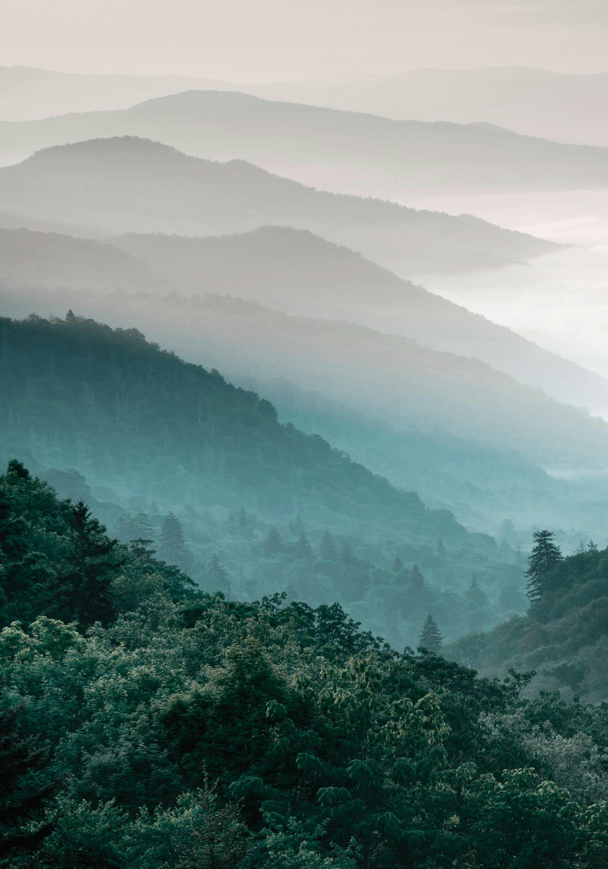 Nebelverhangenes Poster mit mehreren Gebirgszügen und einem Wald im Vordergrund in verschiedenen Grün- und Blautönen.