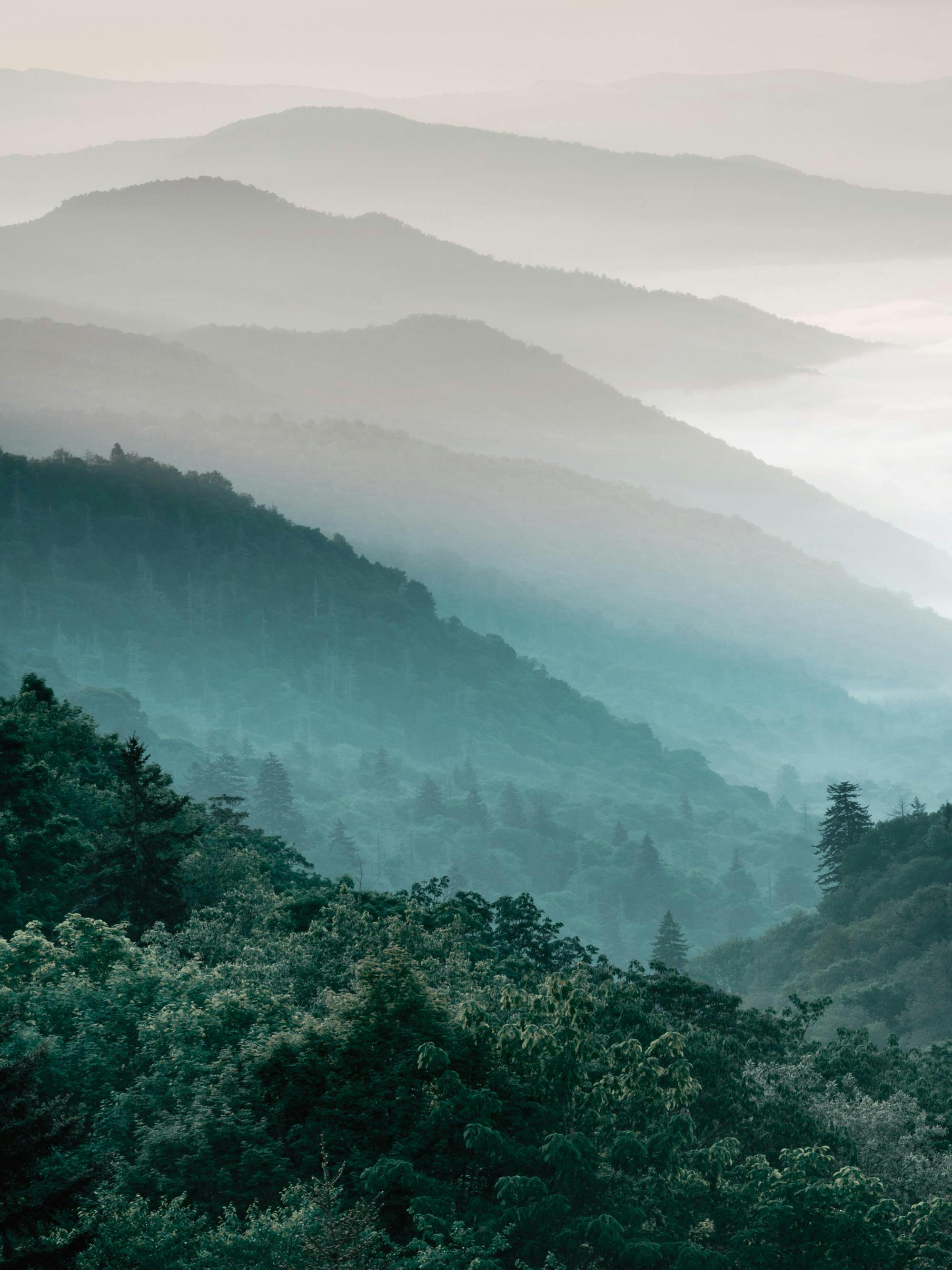 A poster of misty blue-green forest mountains fading into a light grey sky, creating a layered landscape.