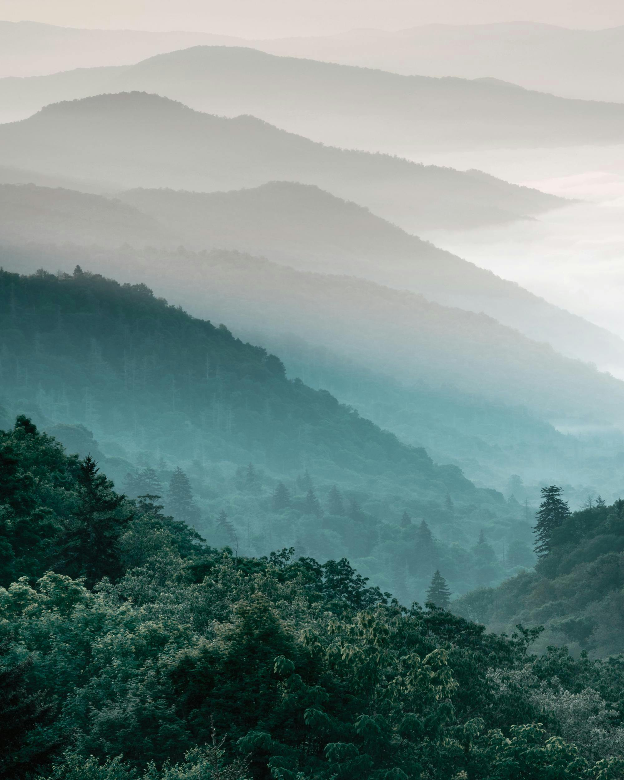 Sumuinen metsäinen vuoristomaisema, jossa näkyy eri sävyisiä vihreän ja sinisen vuoririnteitä julisteena.