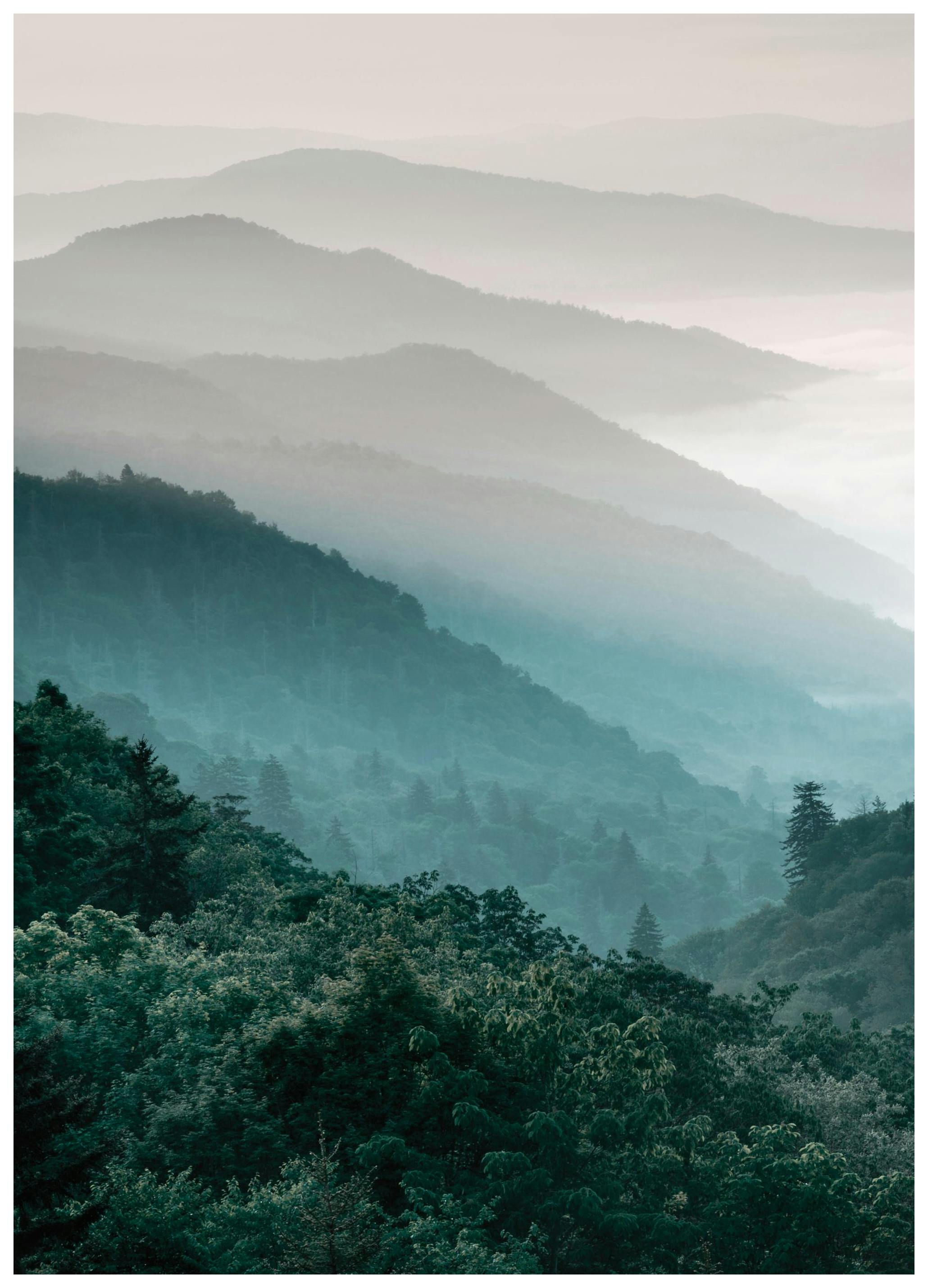 Forest hills Poster (50x50 cm) - Poster Store