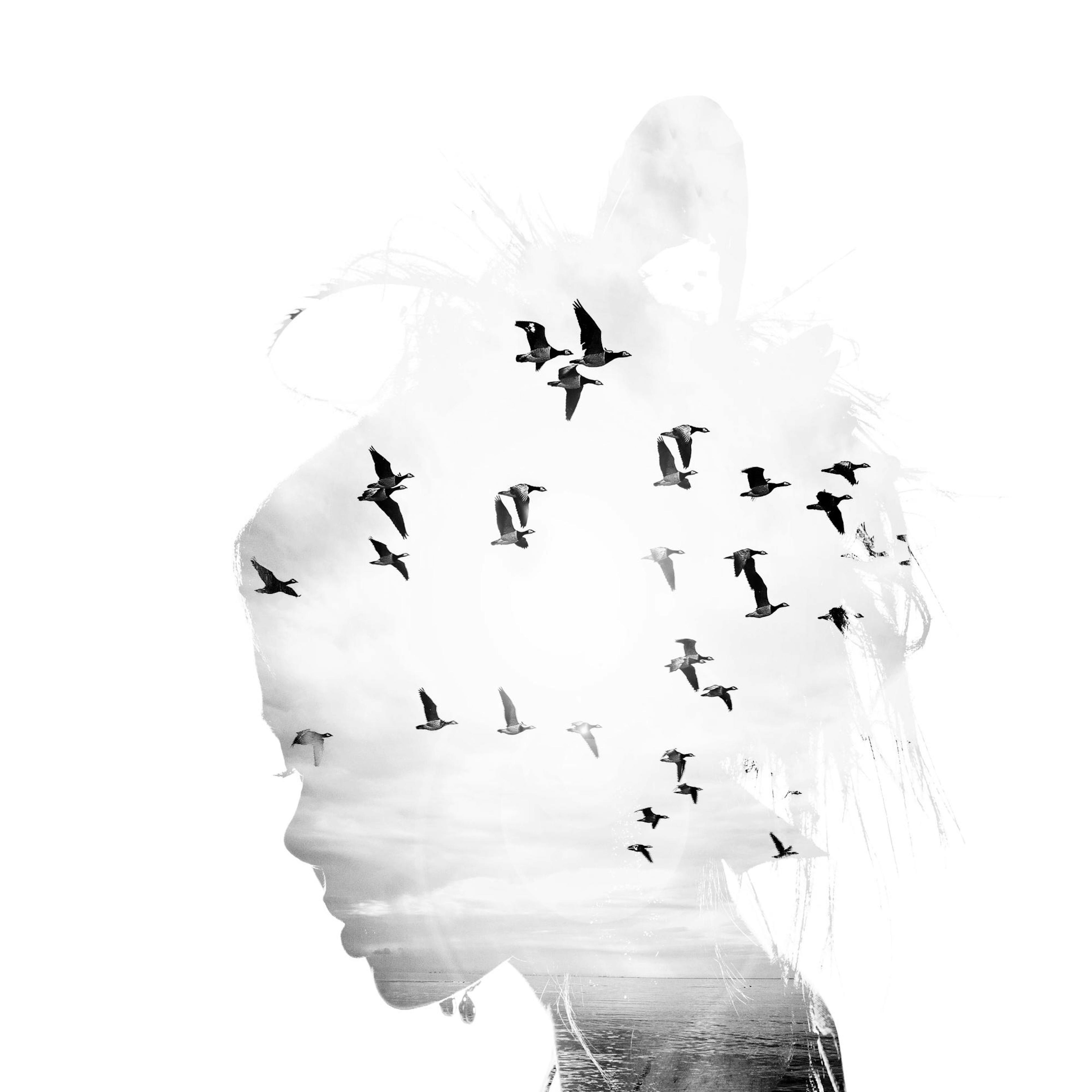 A black and white poster featuring a female silhouette with flying birds and a cloudy sky.