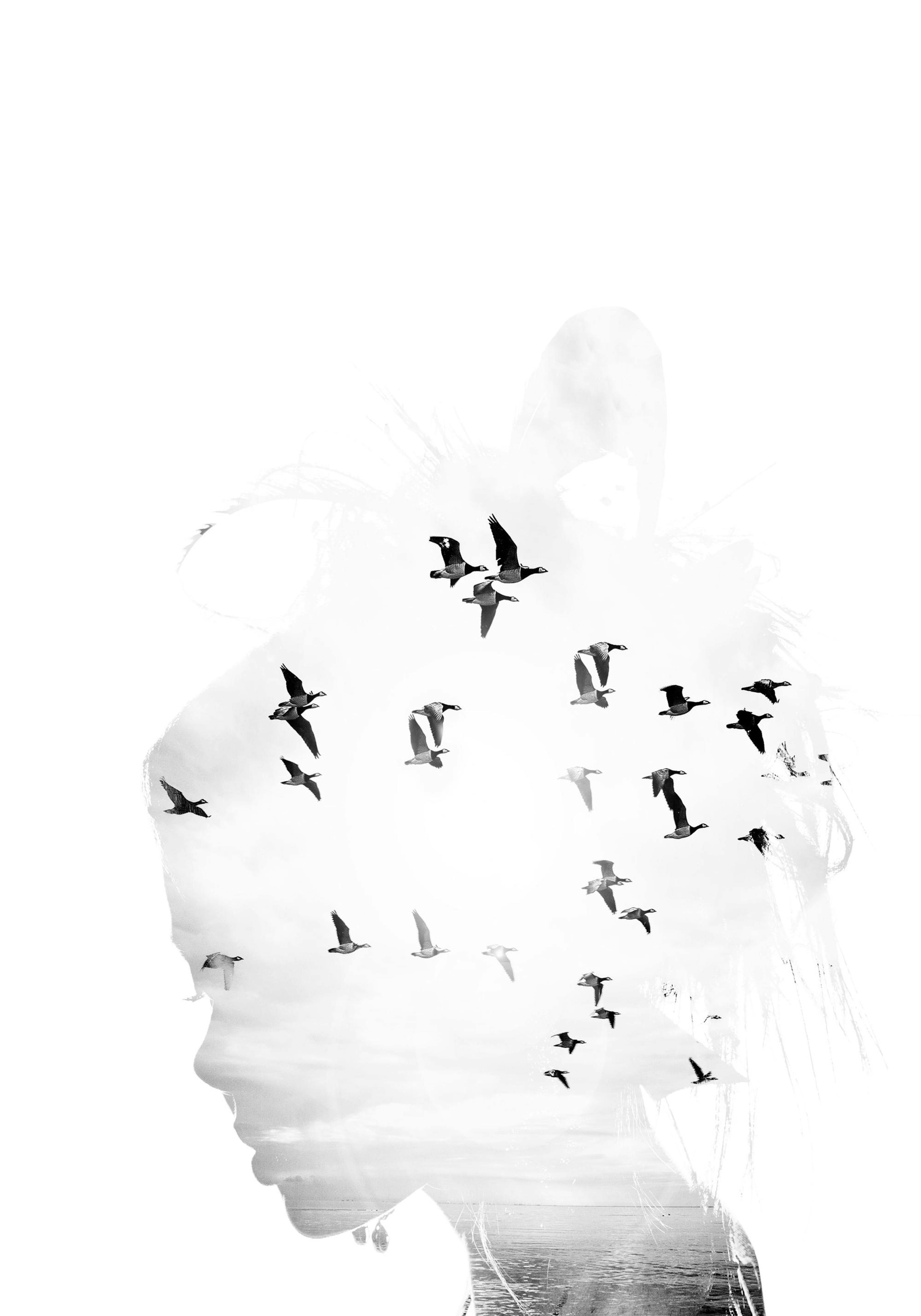 Dreamer Plakat thumbnail
