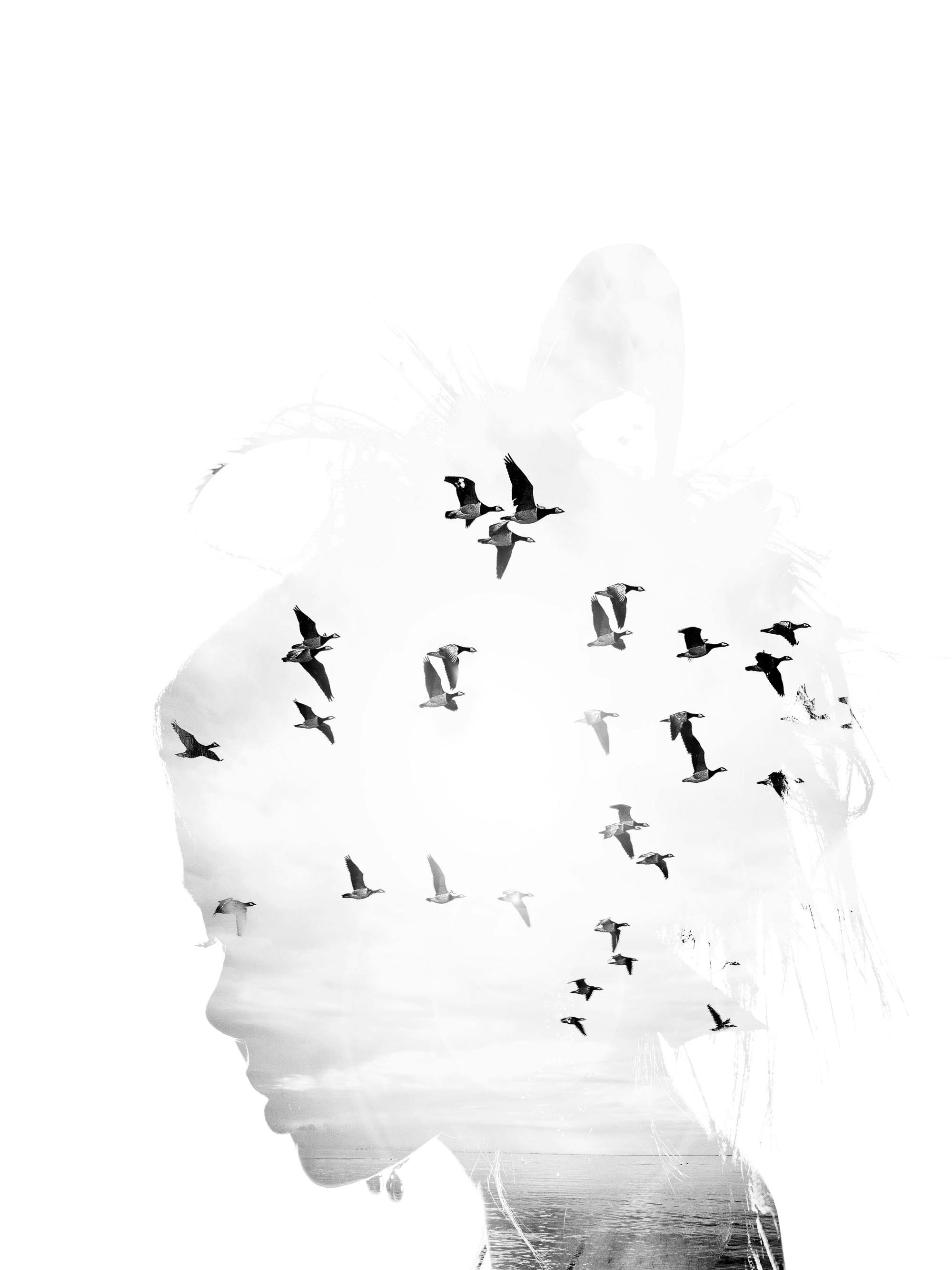 A monochromatic poster featuring a double exposure of a womans profile and a flock of geese flying.
