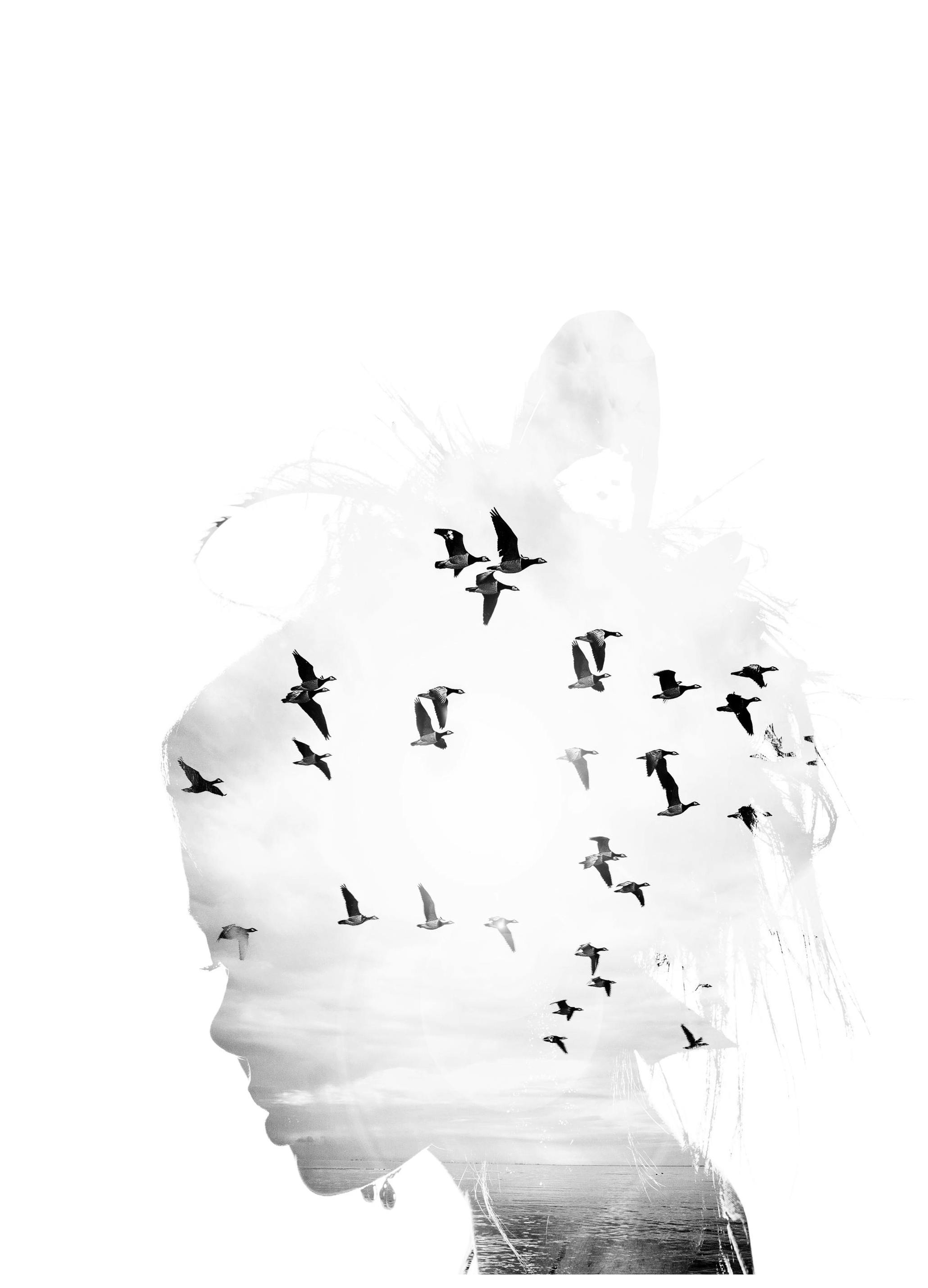 Dreamer Poster (21x30 cm) - Poster Store