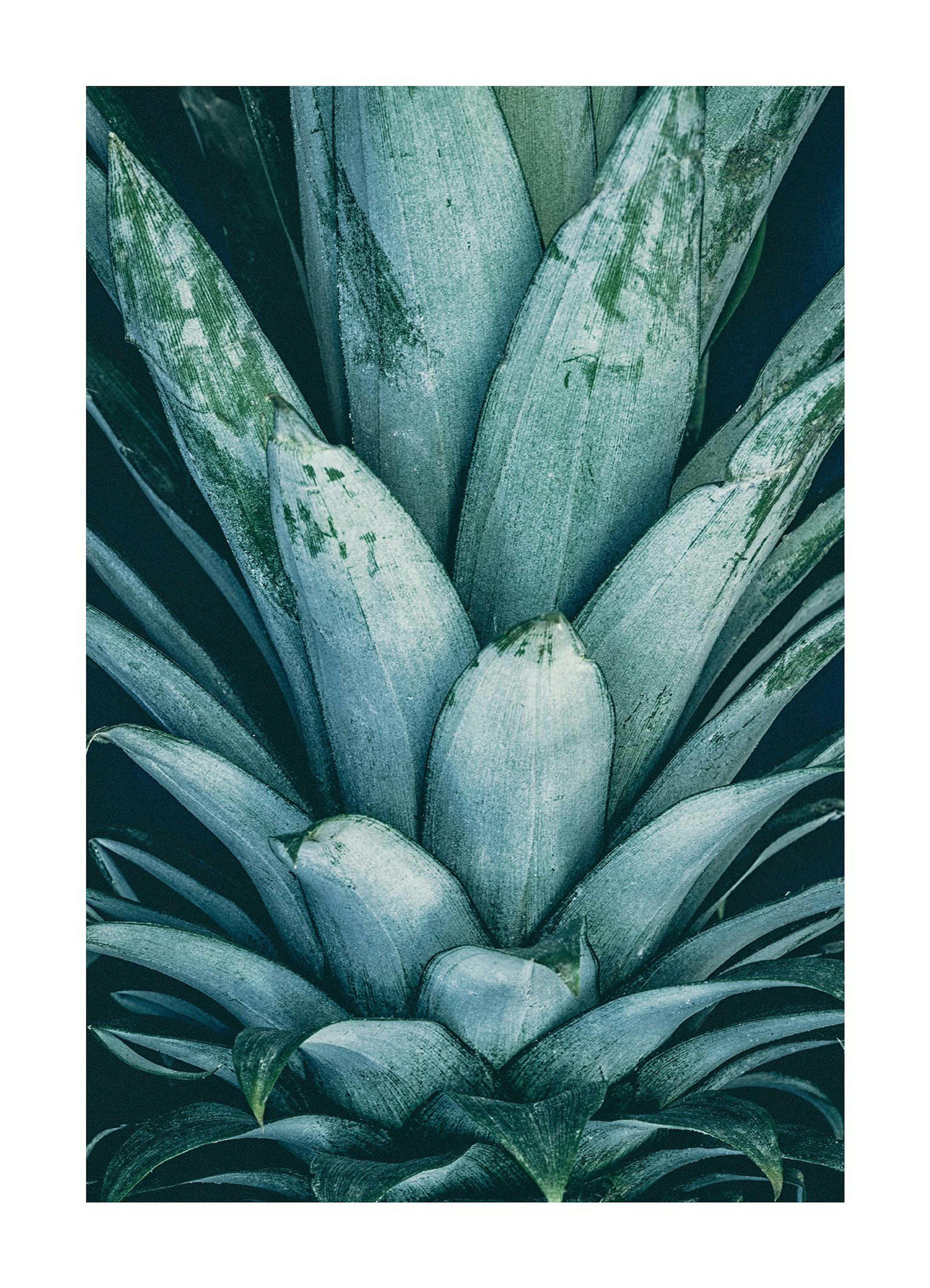 Product image: 1