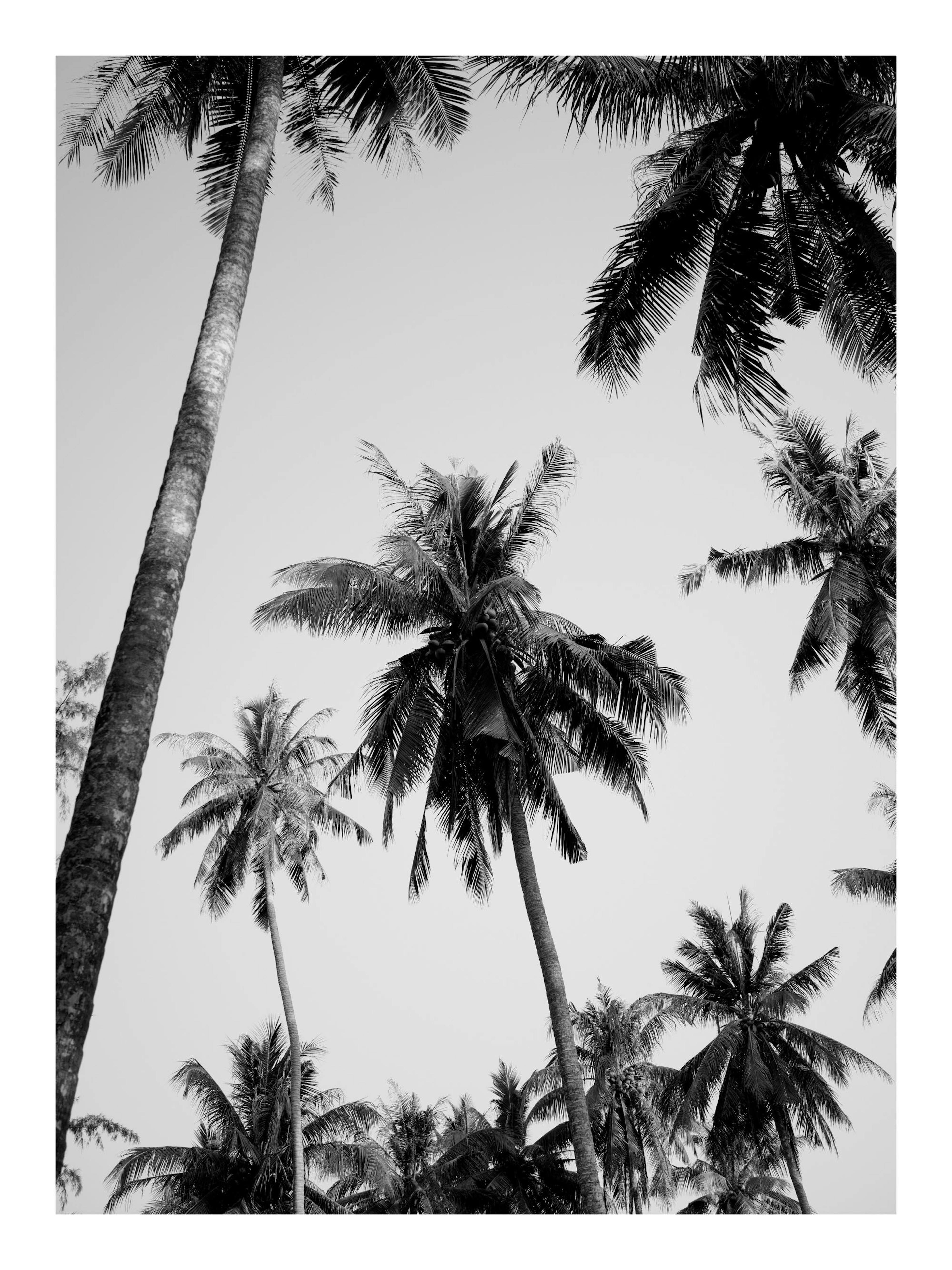 Product image: 1