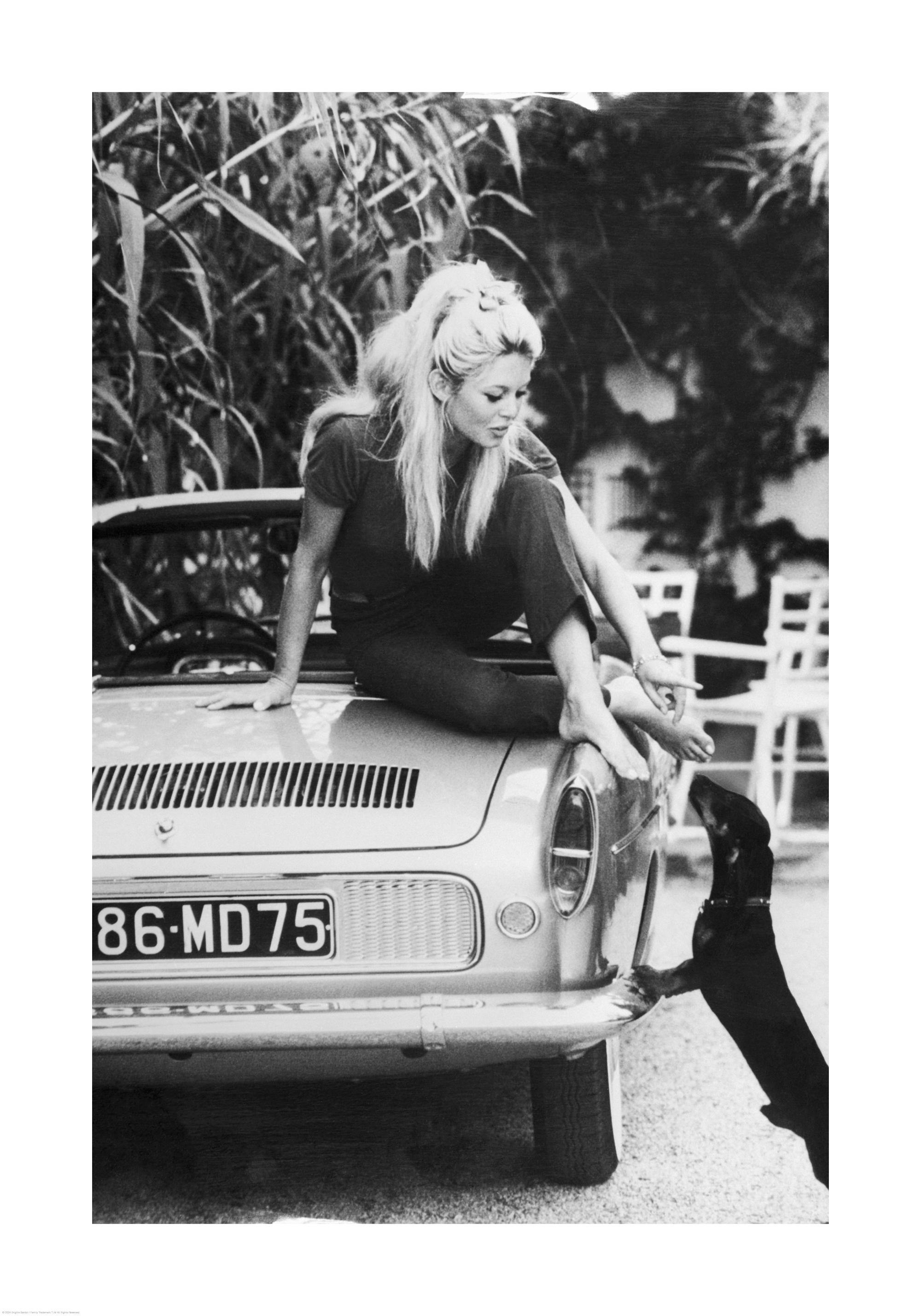 Schwarz-weiß Poster von Brigitte Bardot, die barfuß auf dem Kofferraum eines Autos sitzt und einen Hund streichelt.