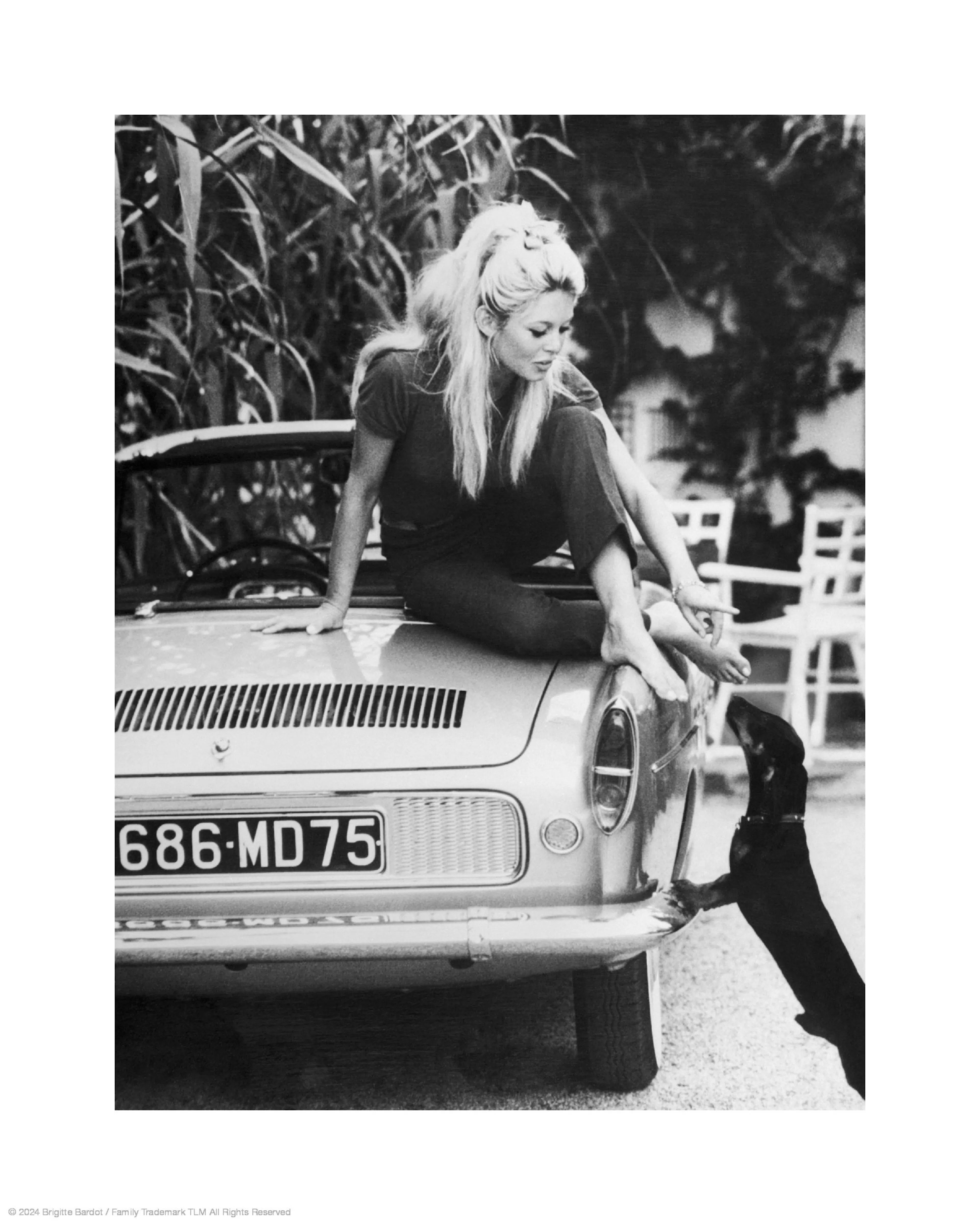 Poster noir et blanc de Brigitte Bardot assise sur une voiture décapotable, jouant avec un chien.