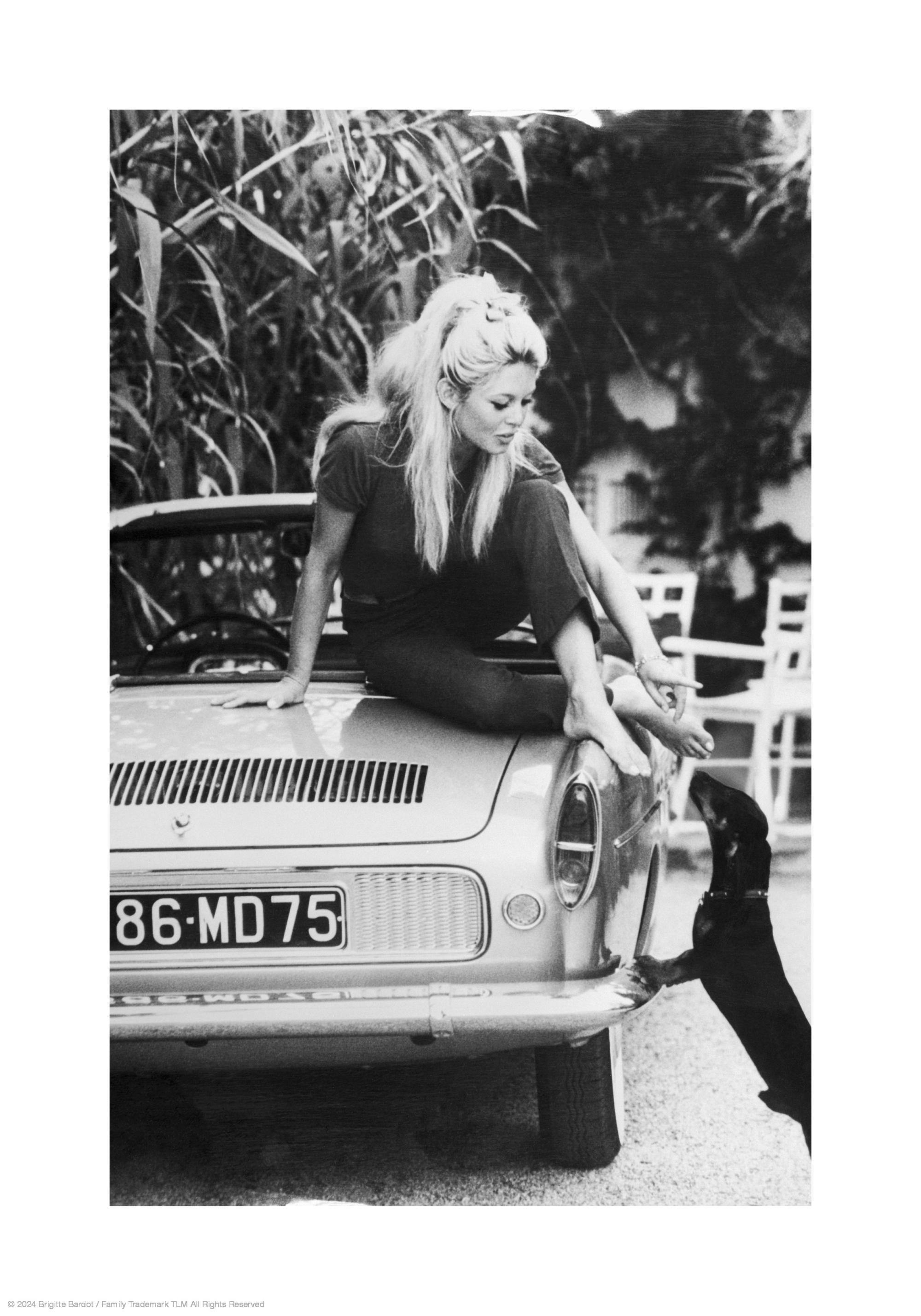 Zwart-wit poster van Brigitte Bardot op een auto, spelend met een teckel.