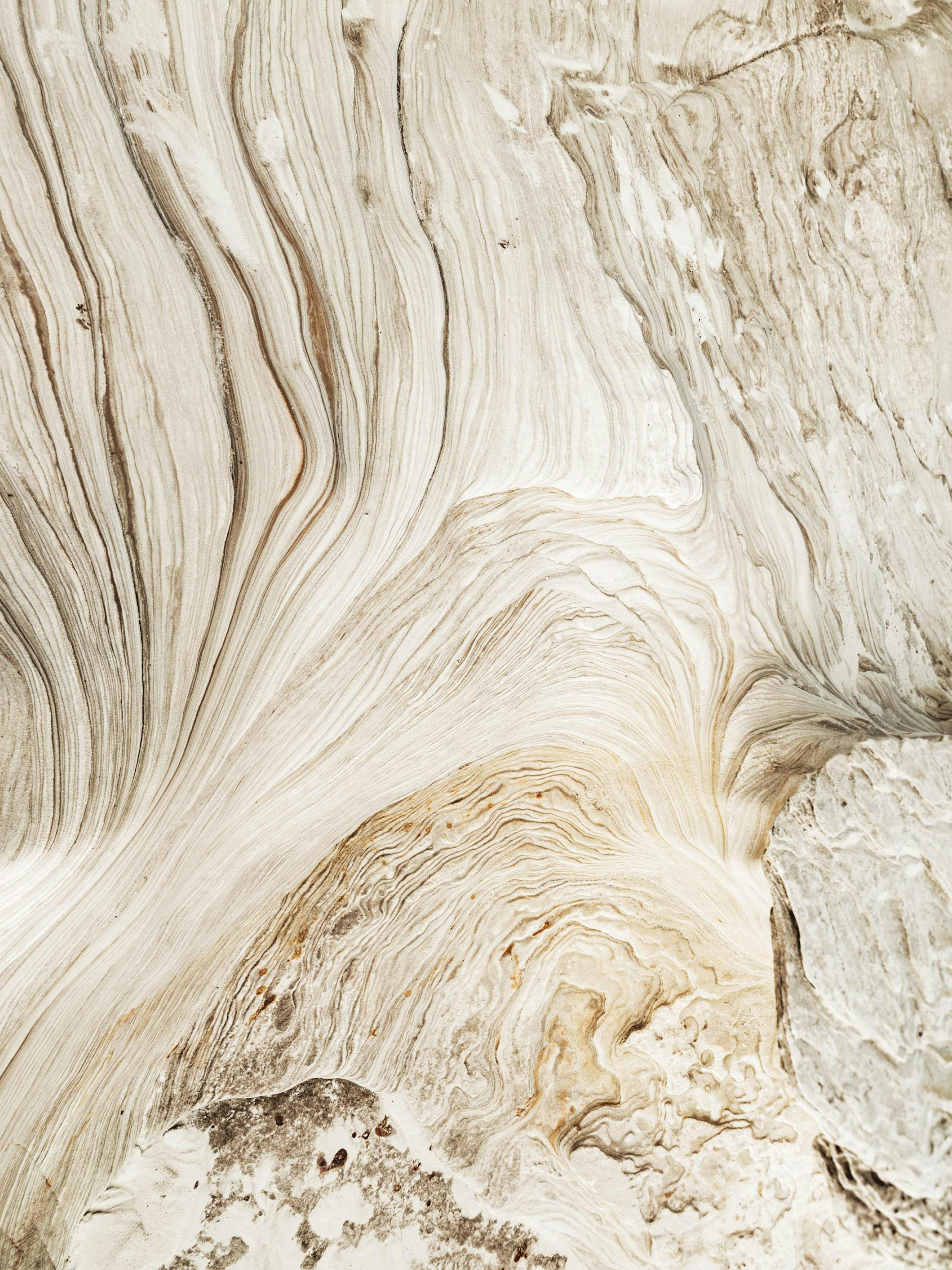 A poster featuring a close-up of light brown and white wood grain with wavy, flowing lines.