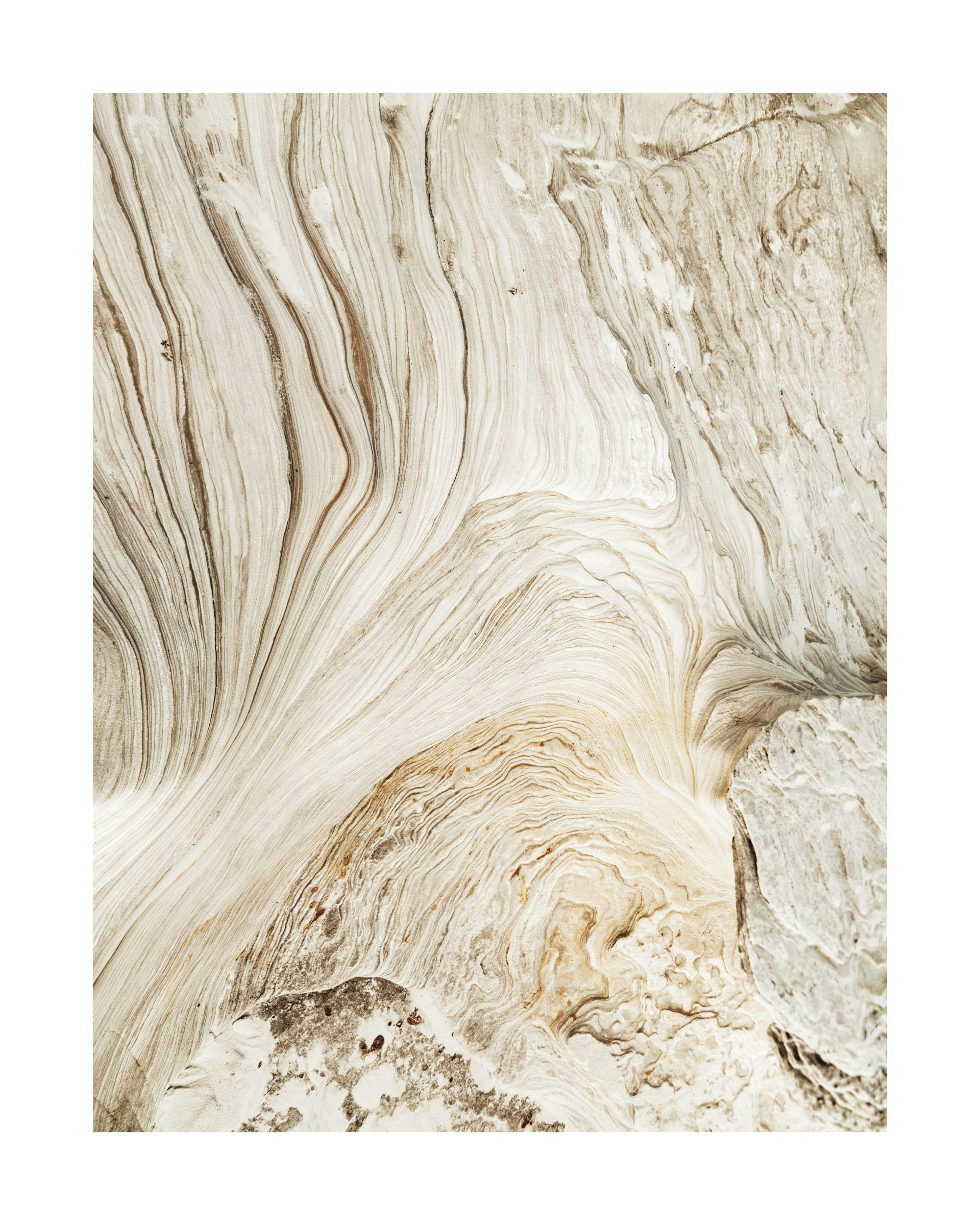 Poster mit organischen Formen und Texturen in Beige, Braun und Weiß, die an Holzmaserung erinnern.