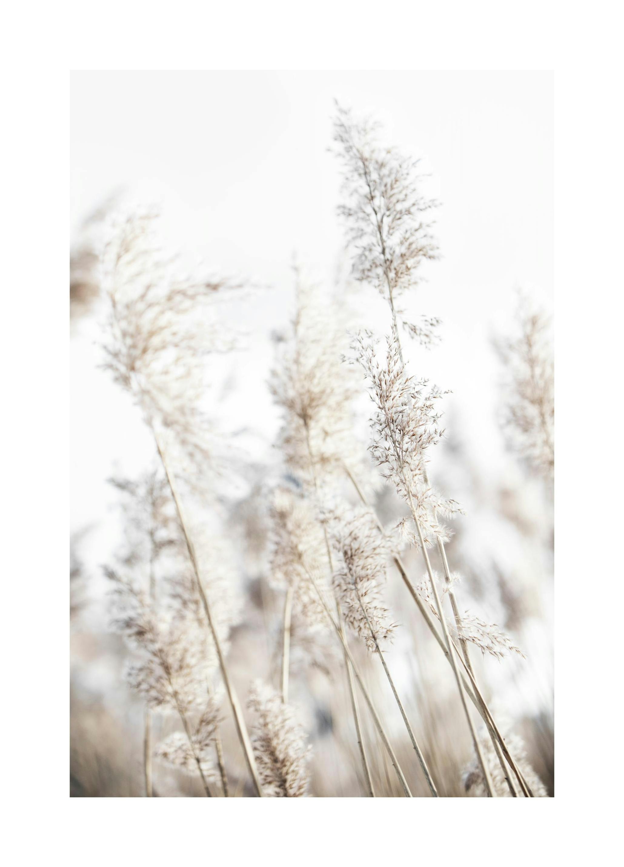 In the Reeds No2 Poster (21x30 cm) - Poster Store