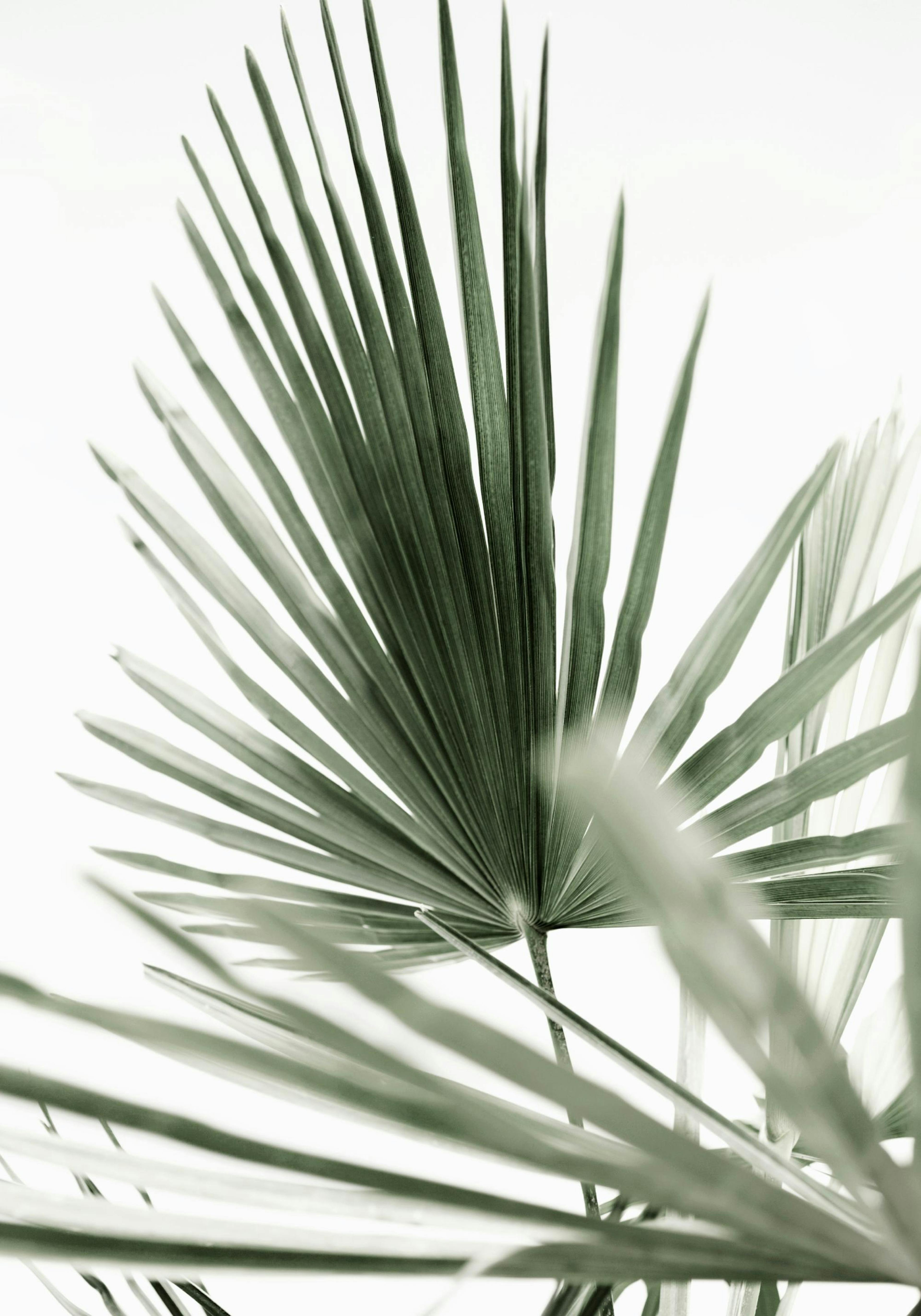 Product image: 1