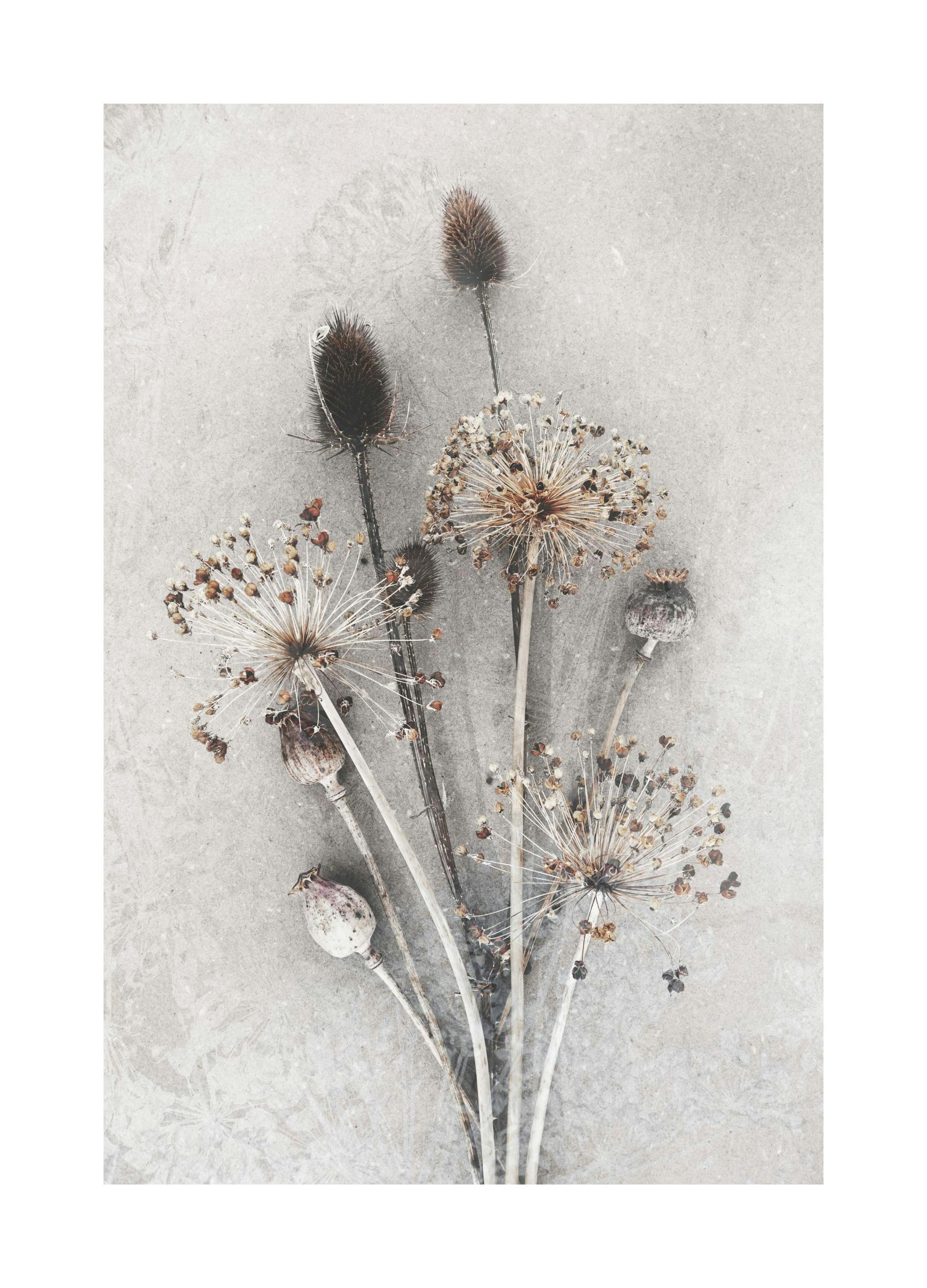 Gedroogde Bloemenbos Poster (21x30 cm) - Poster Store