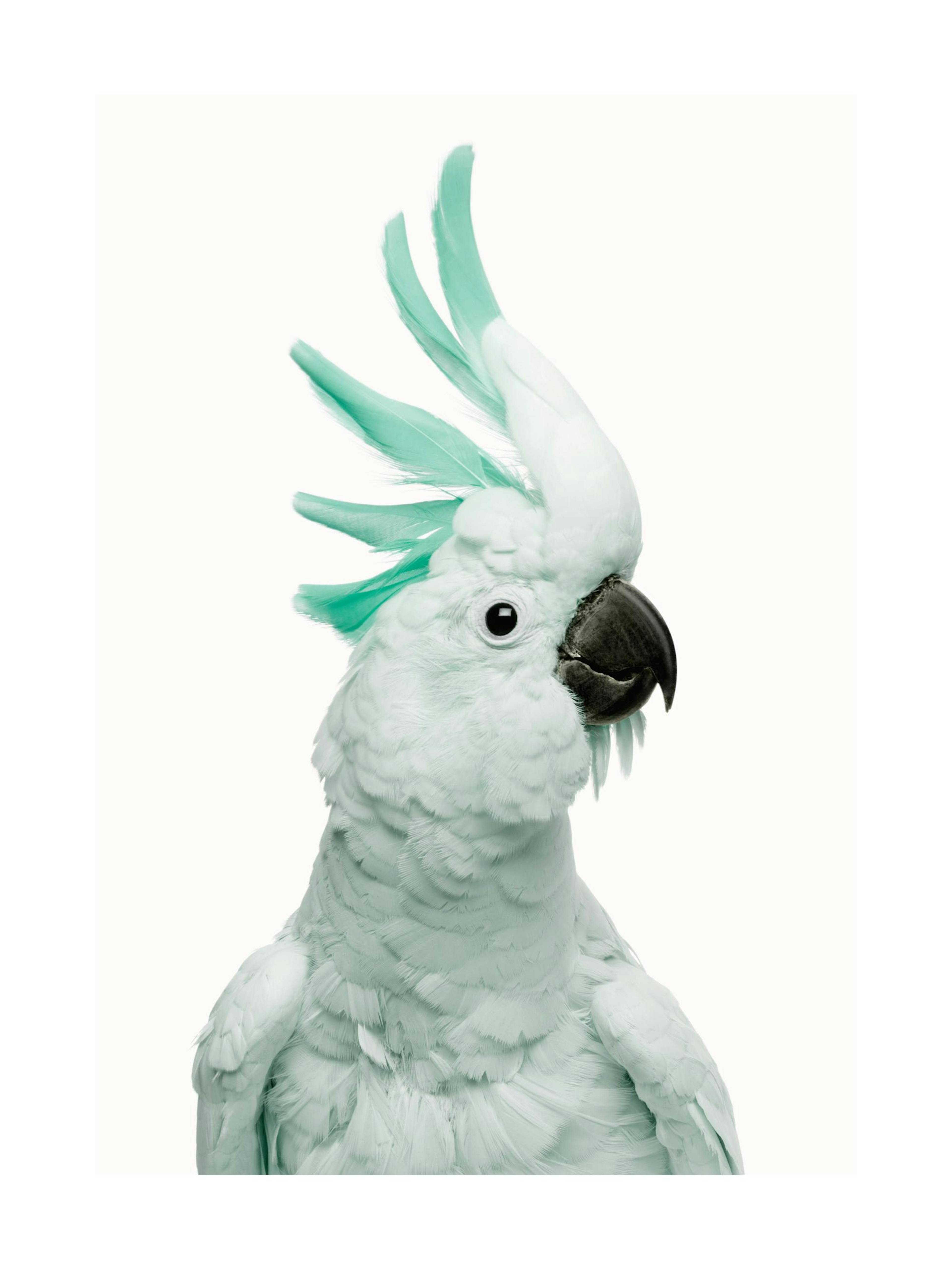 Product image: 1