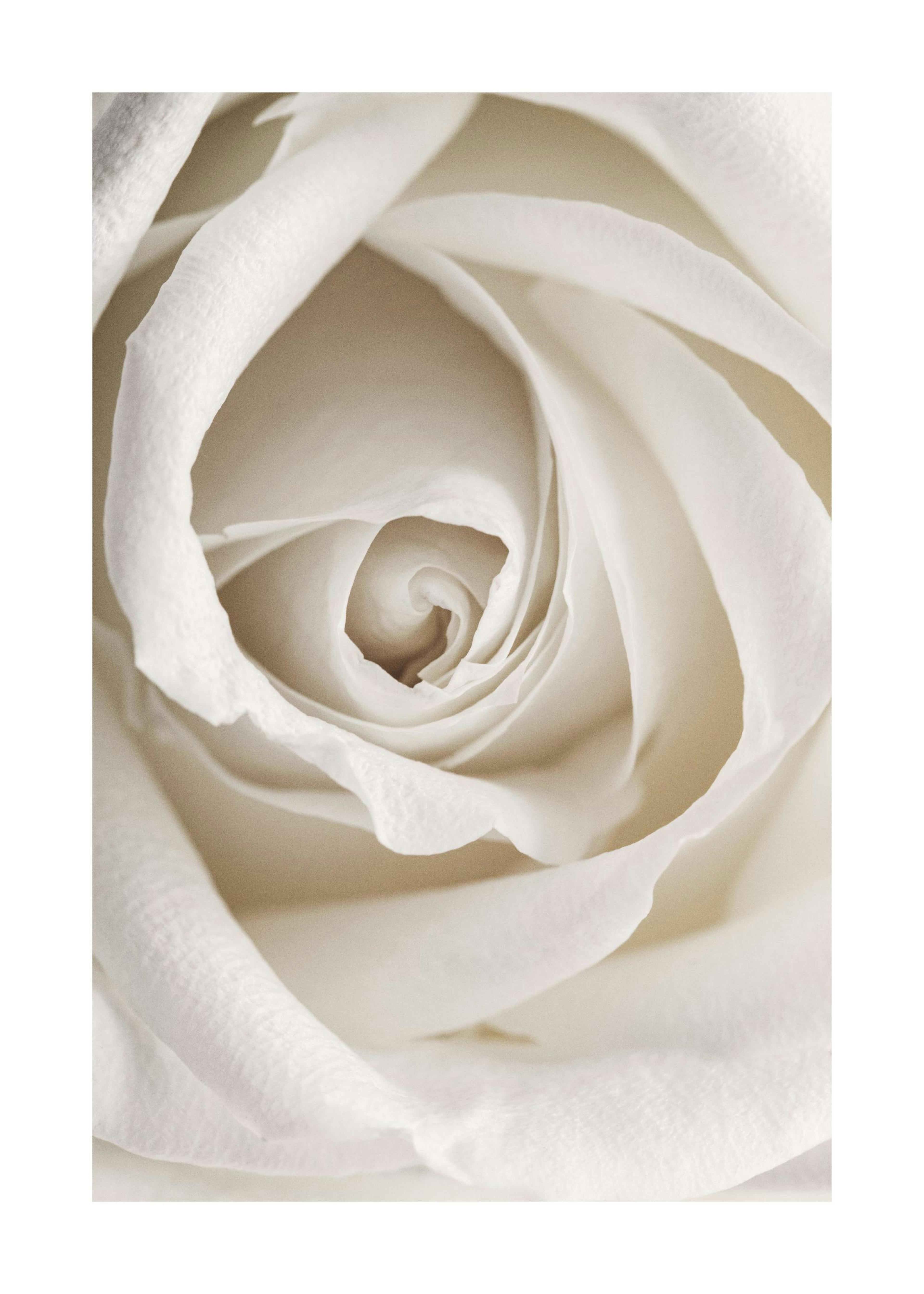 Product image: 1