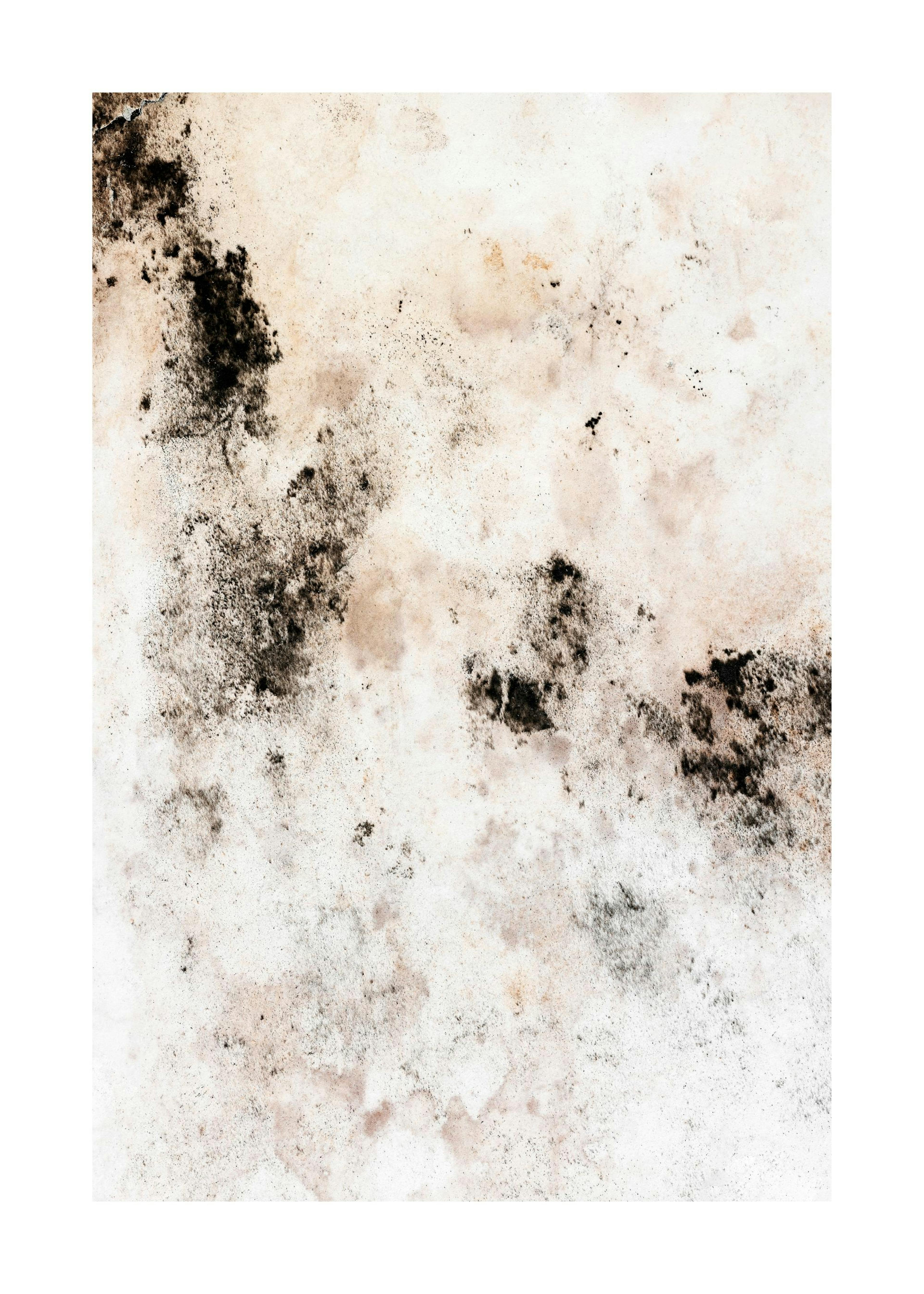 Stained art Poster 0