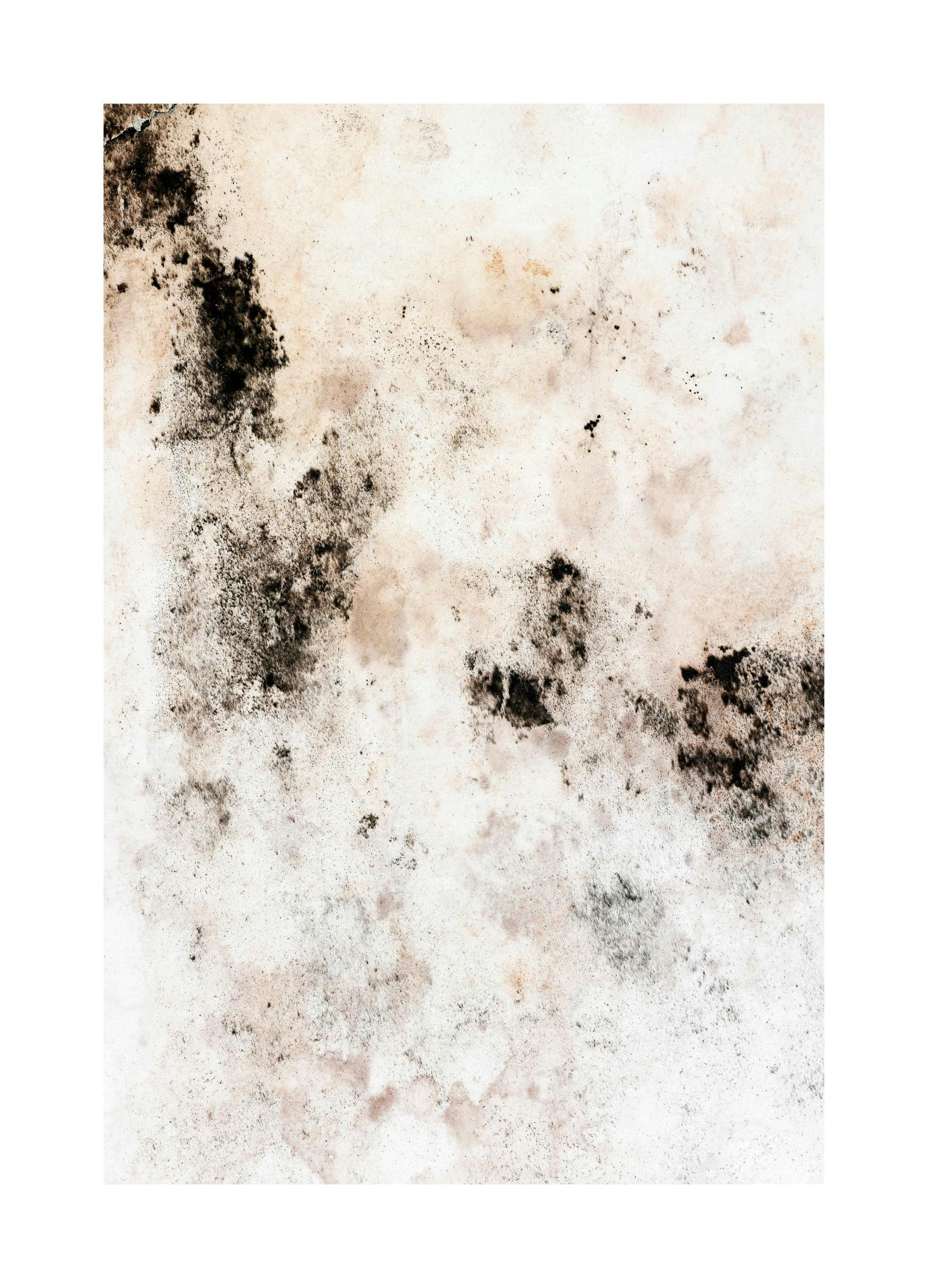 Prints Stained art Poster (70x100 cm) - Poster Store