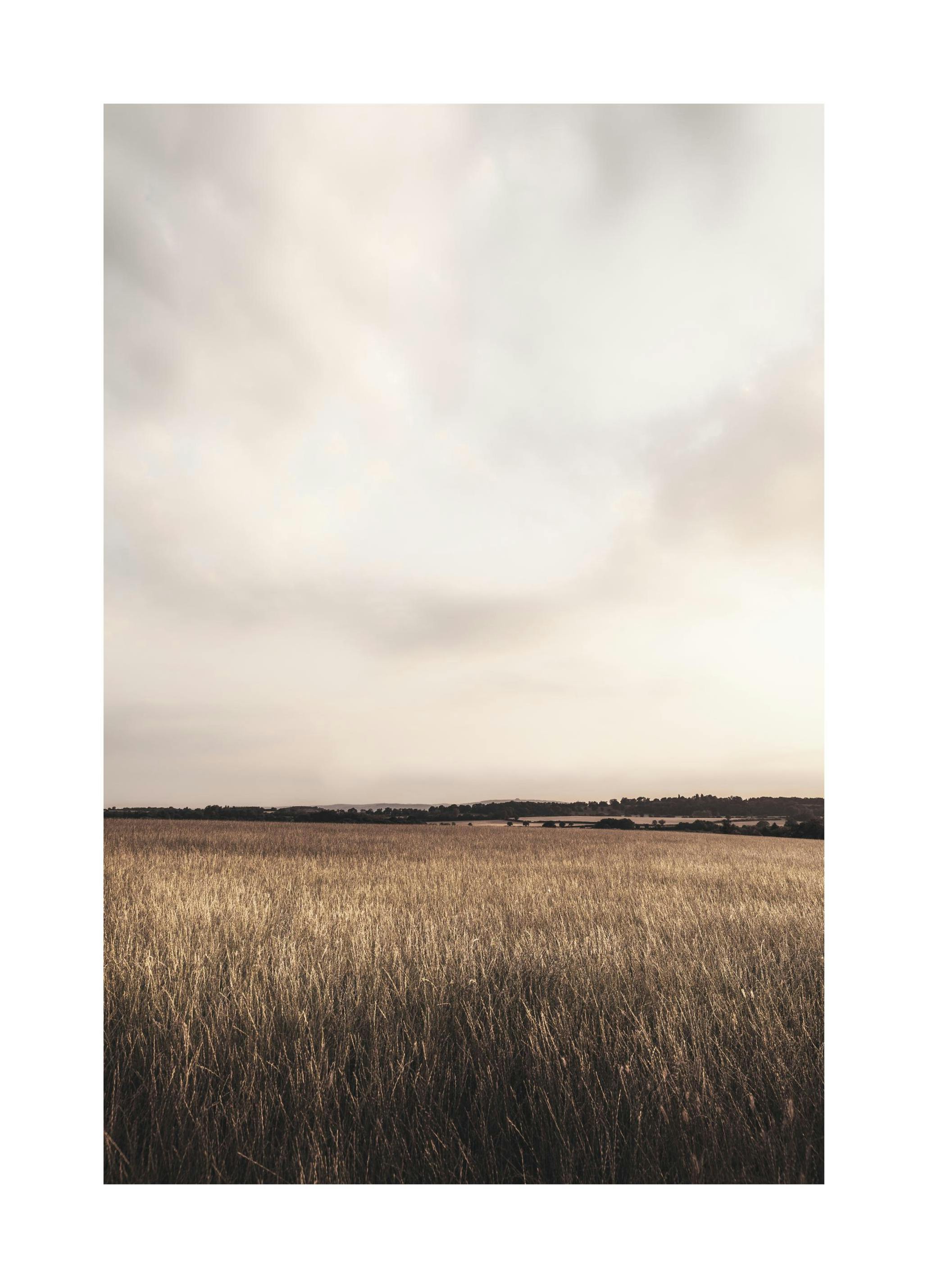 Field below the clouds Poster (50x70 cm) - Poster Store