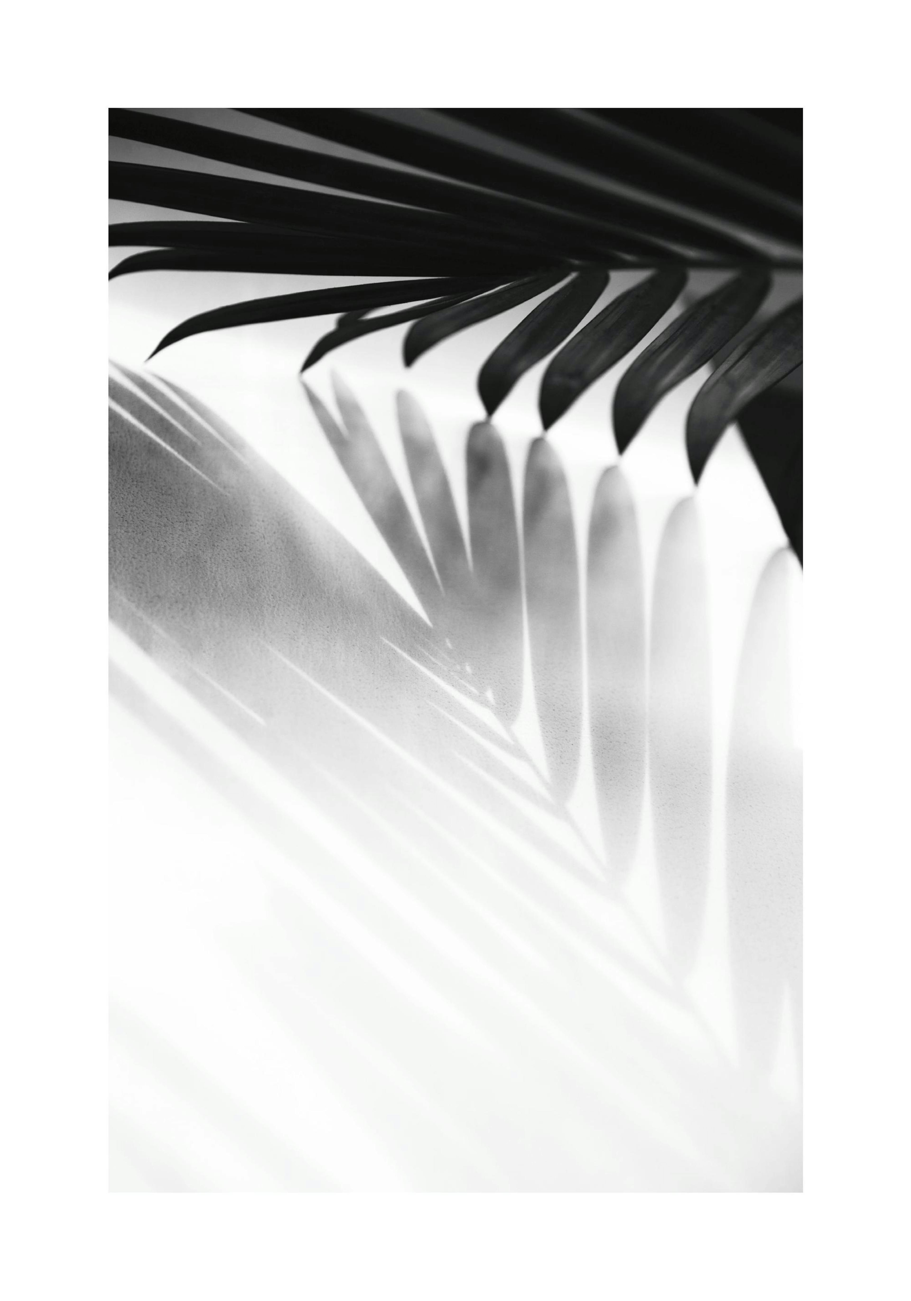 Product image: 1