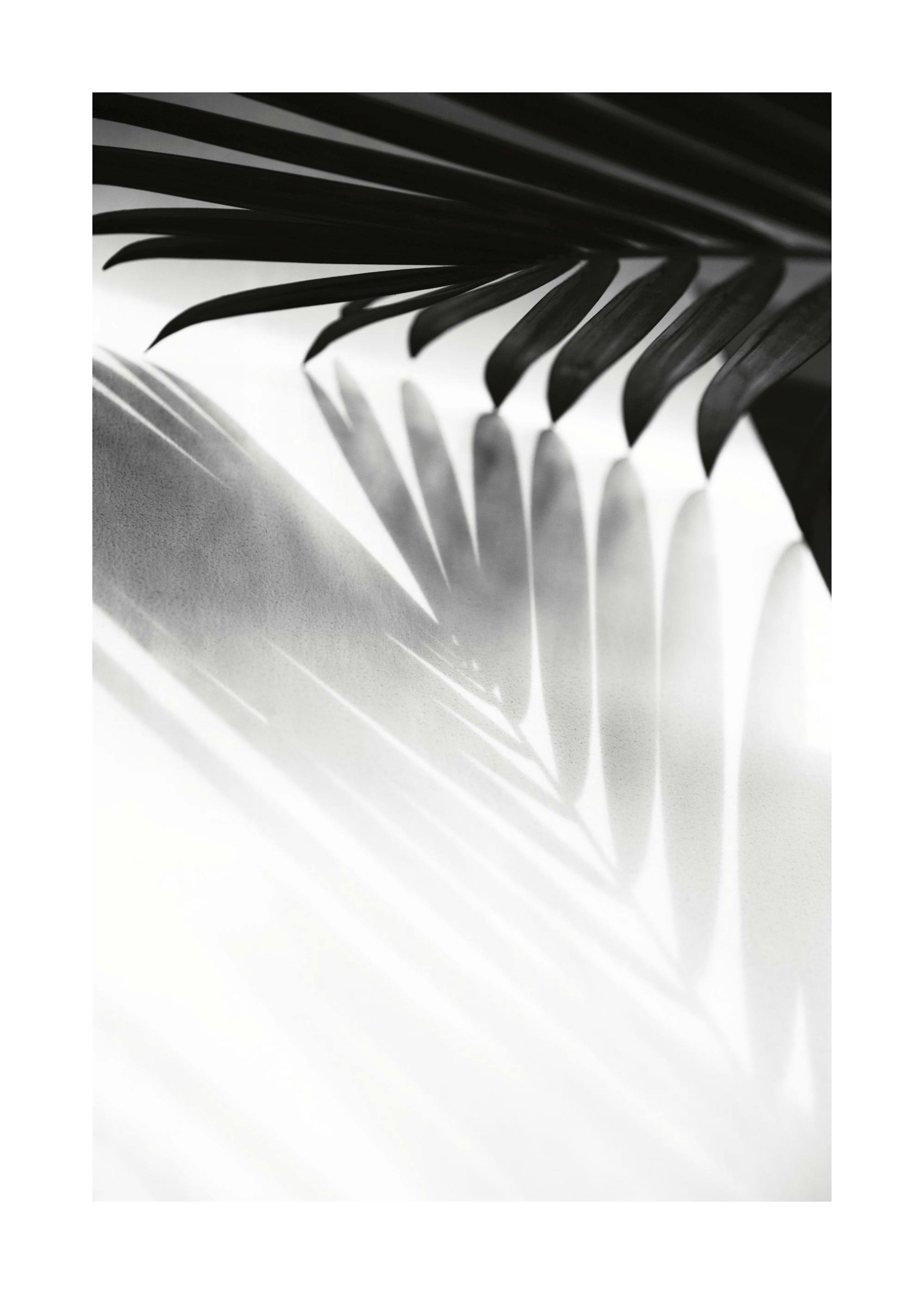 Product image: 1
