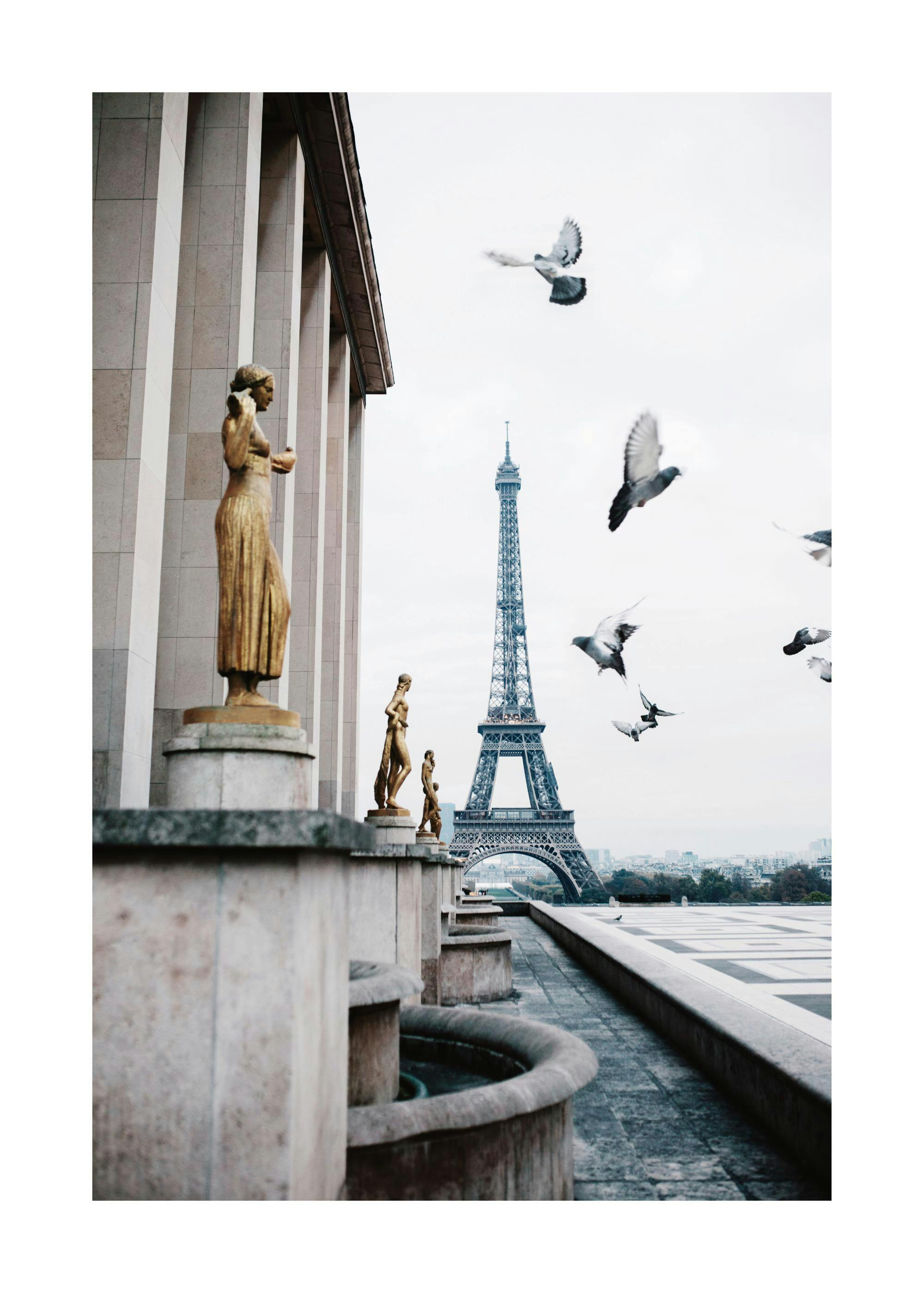 Poster con la Torre Eiffel e statue dorate sullo sfondo, con piccioni in volo in primo piano.