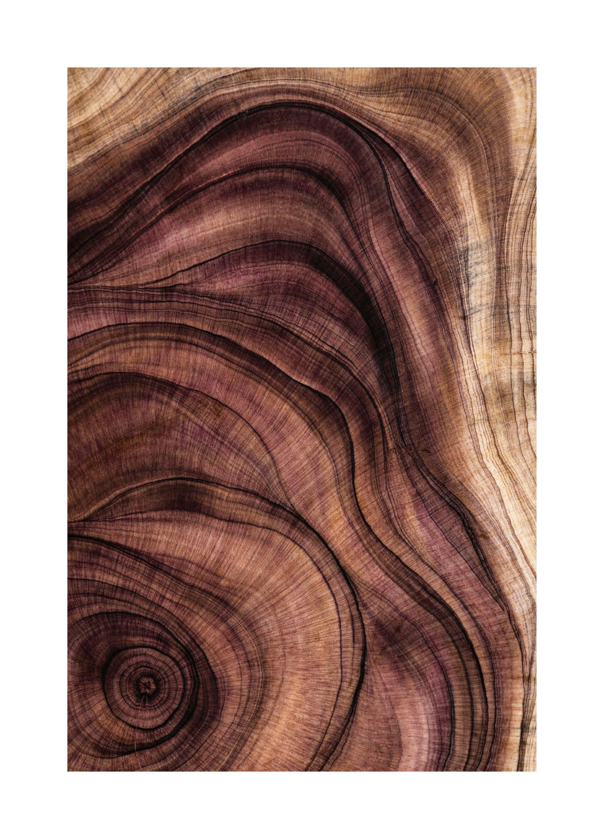 Wood pattern Plakat (50x50 cm) - Poster Store
