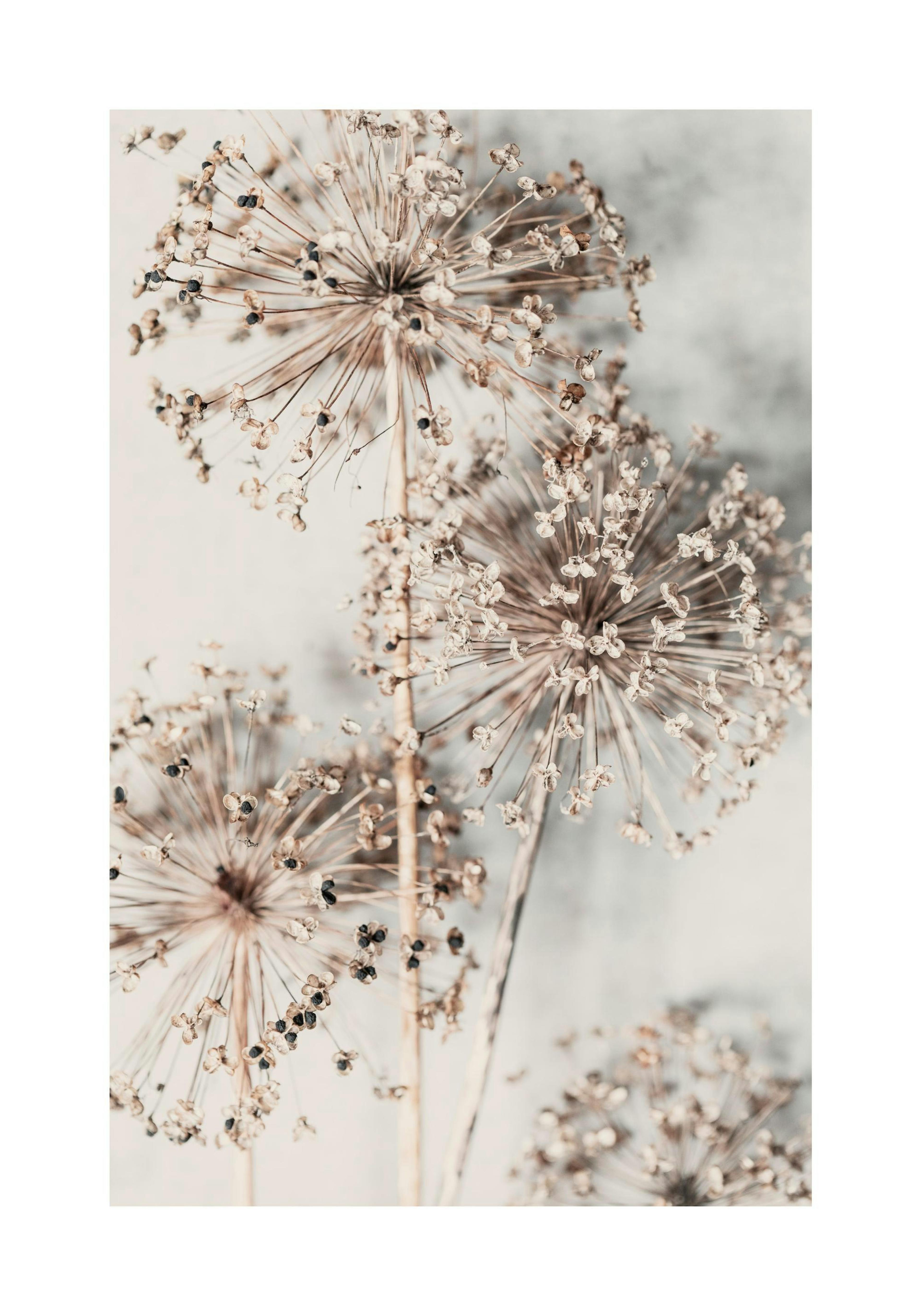 Product image: 1