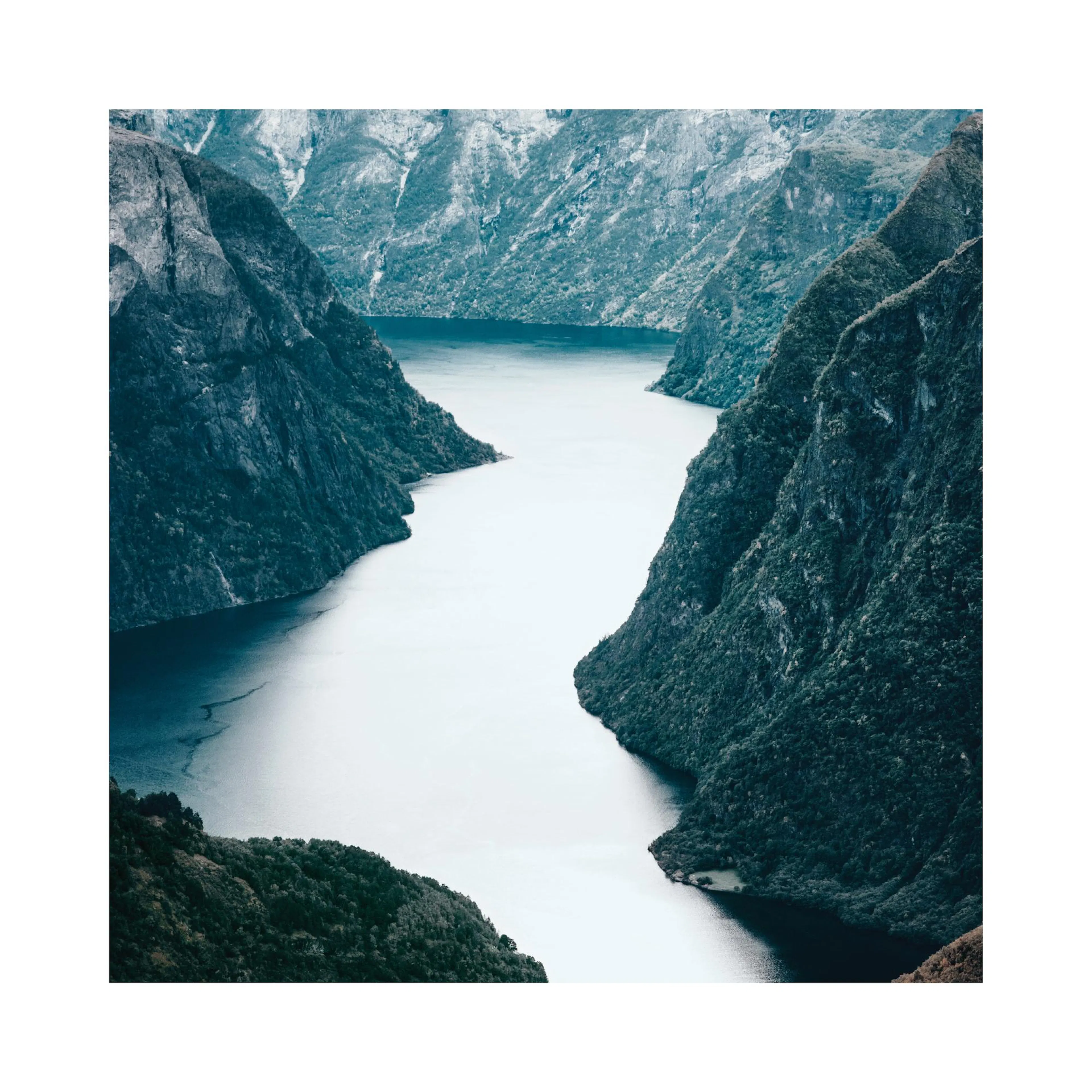 Juliste vuonosta, jota ympäröivät korkeat, metsäiset vuoret harmaalla taustalla.