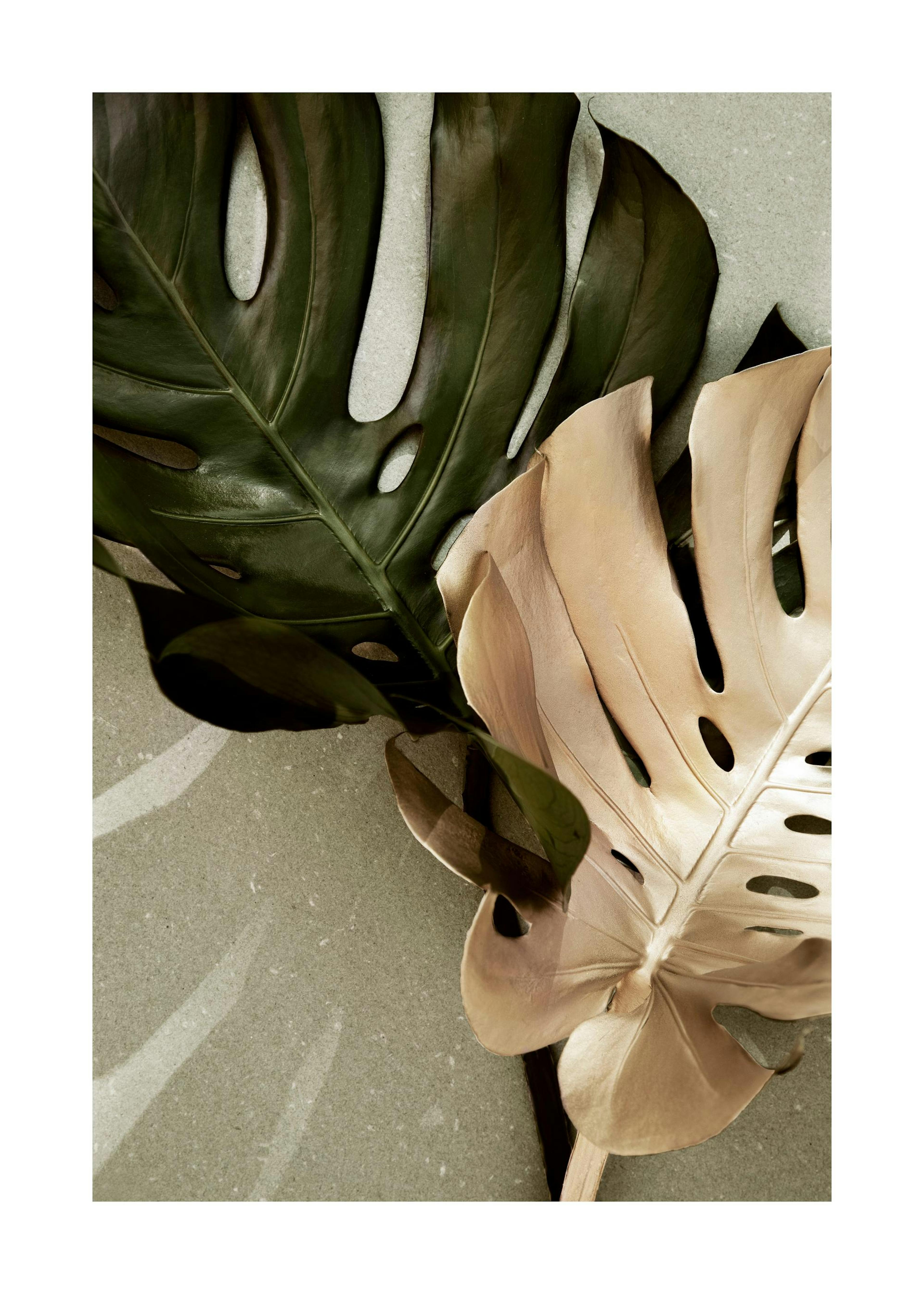 Product image: 1
