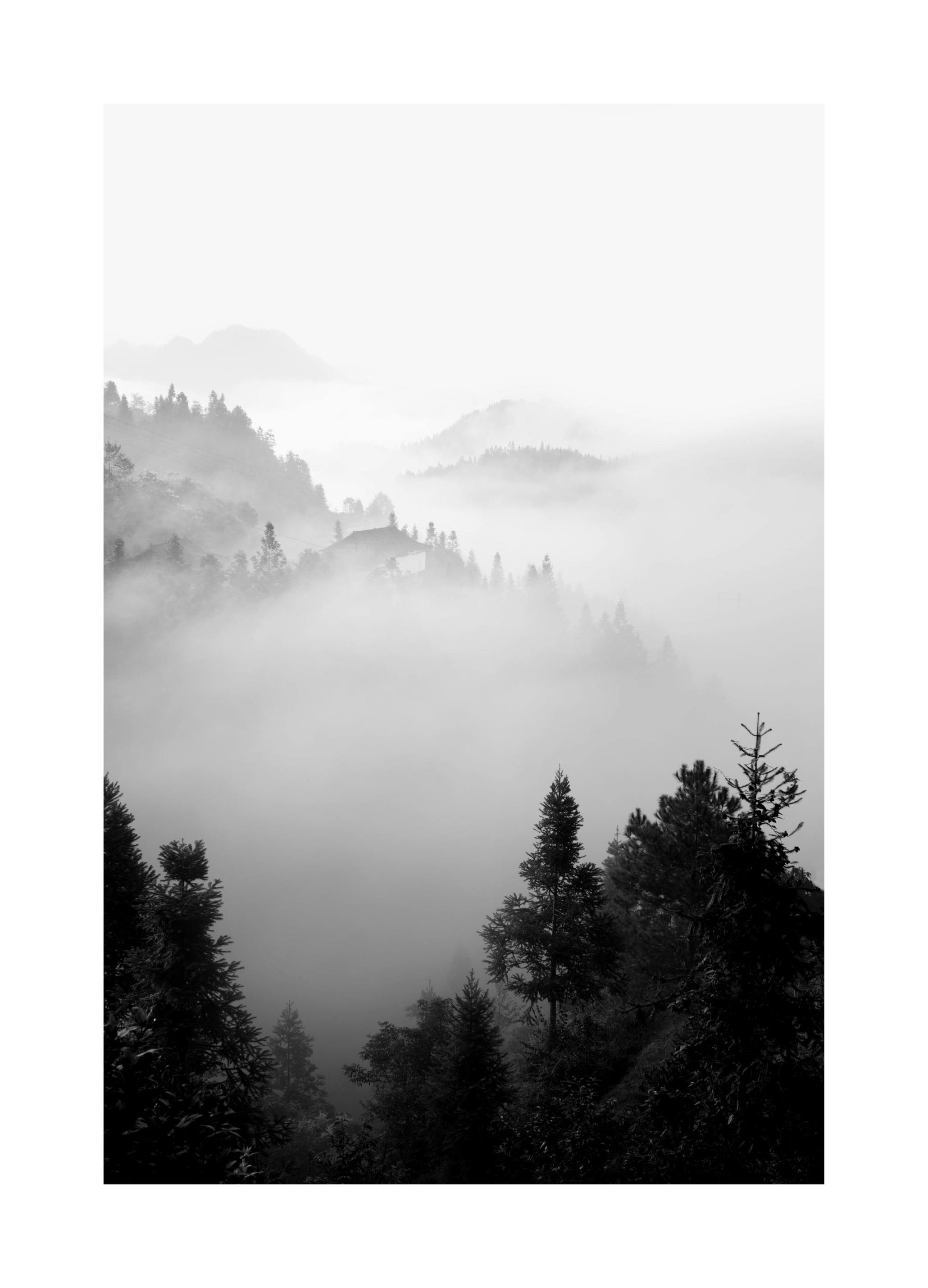 La Brume Matinale Poster (30x40 cm) - Poster Store