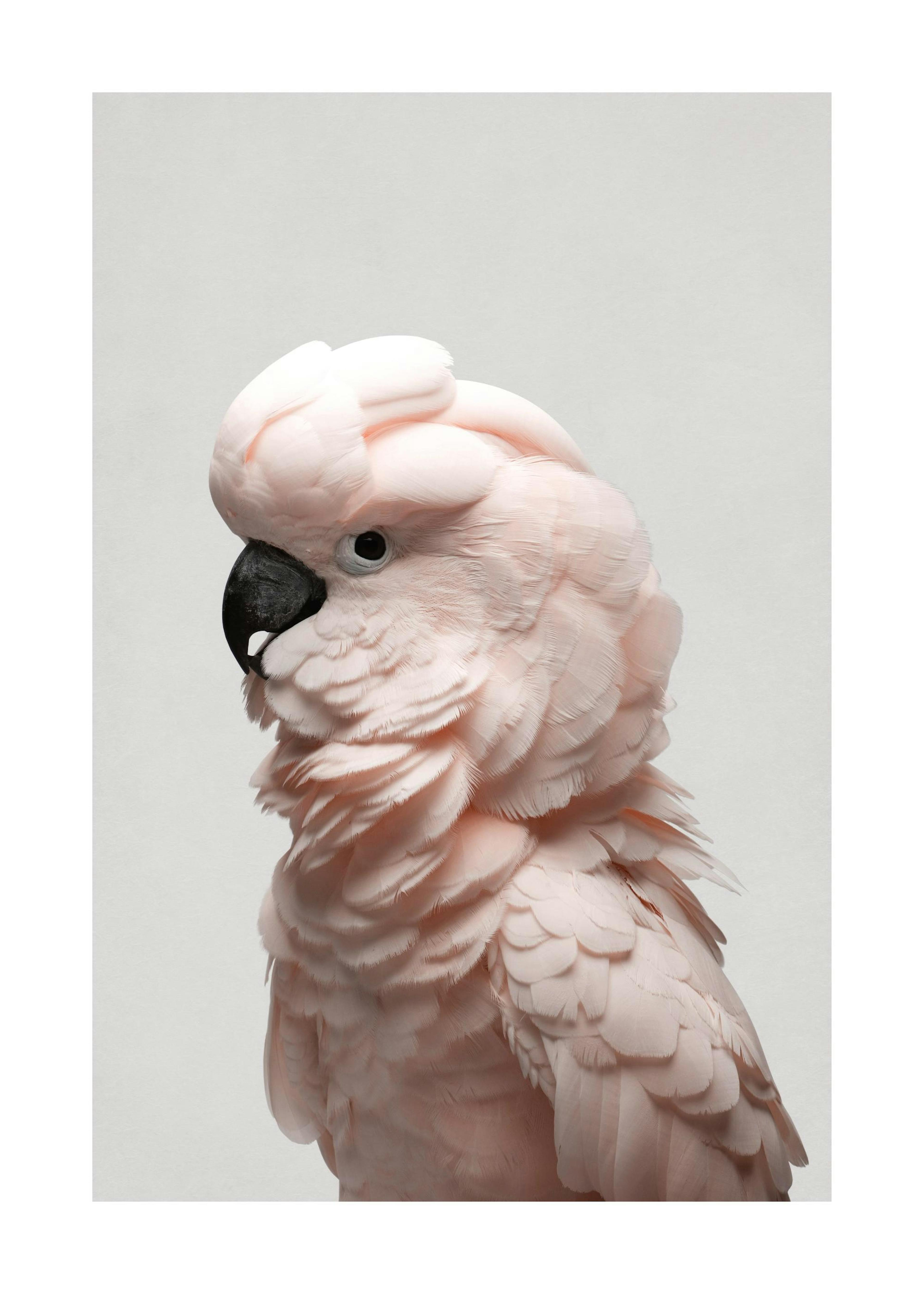 Product image: 1