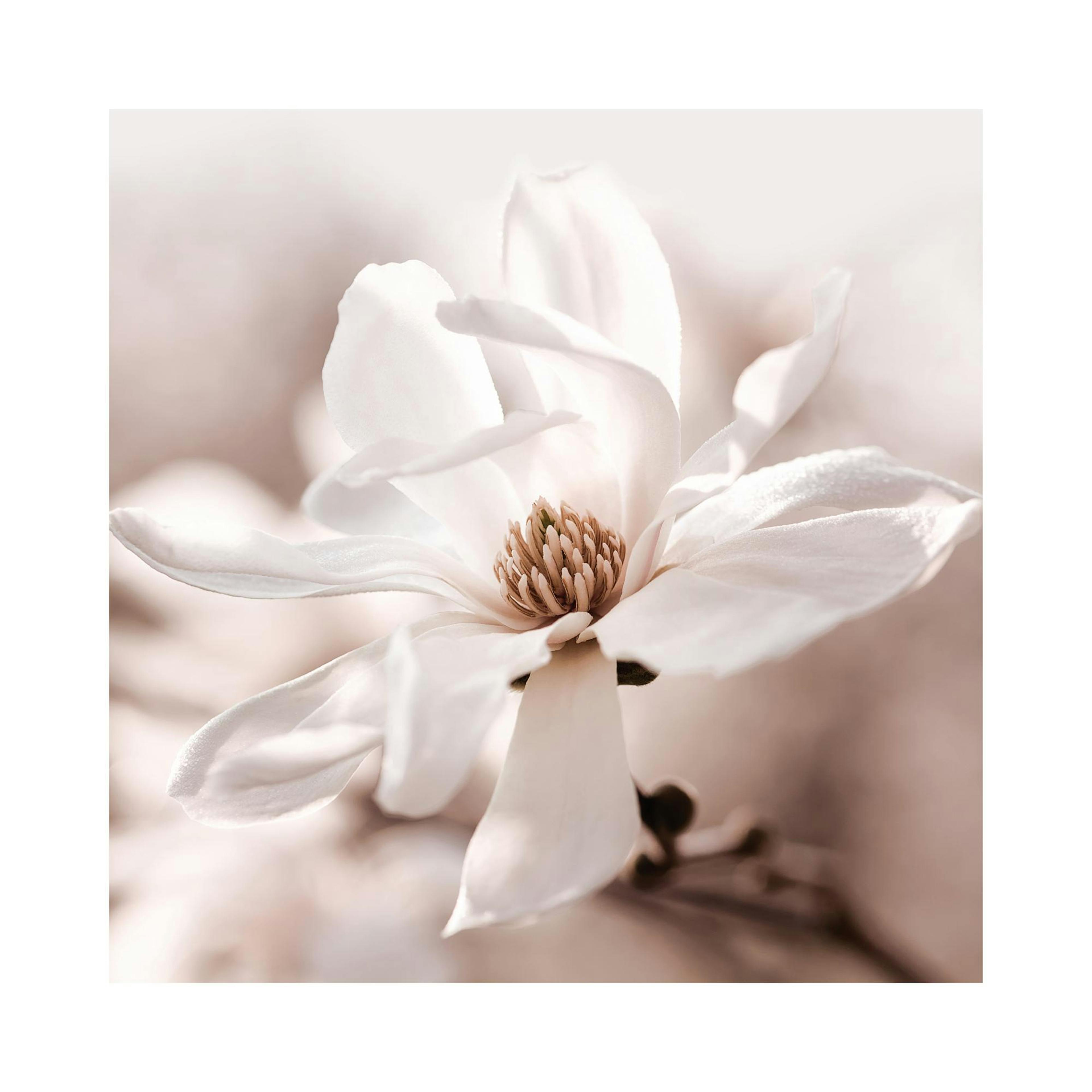 Product image: 1
