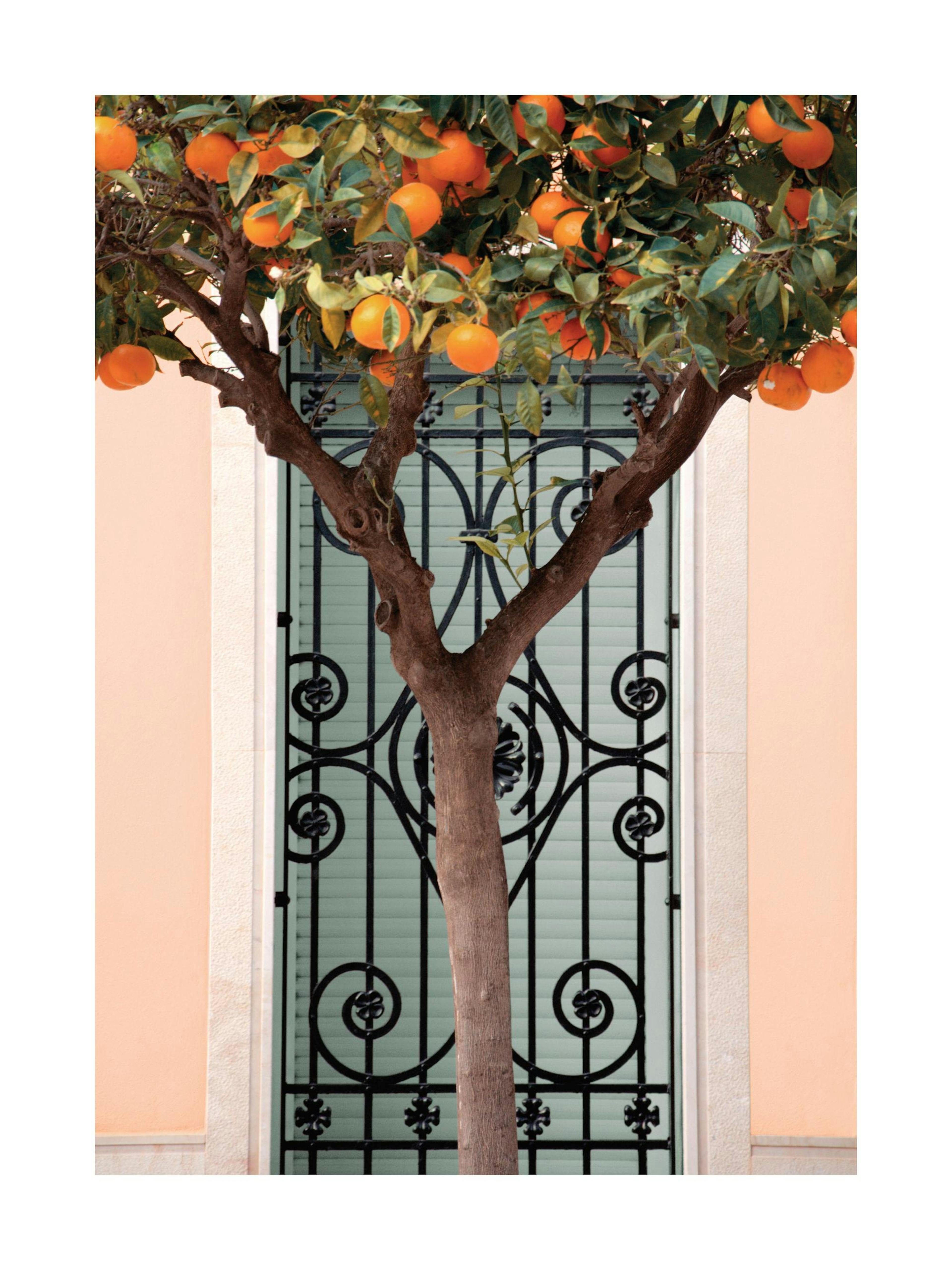 Product image: 1
