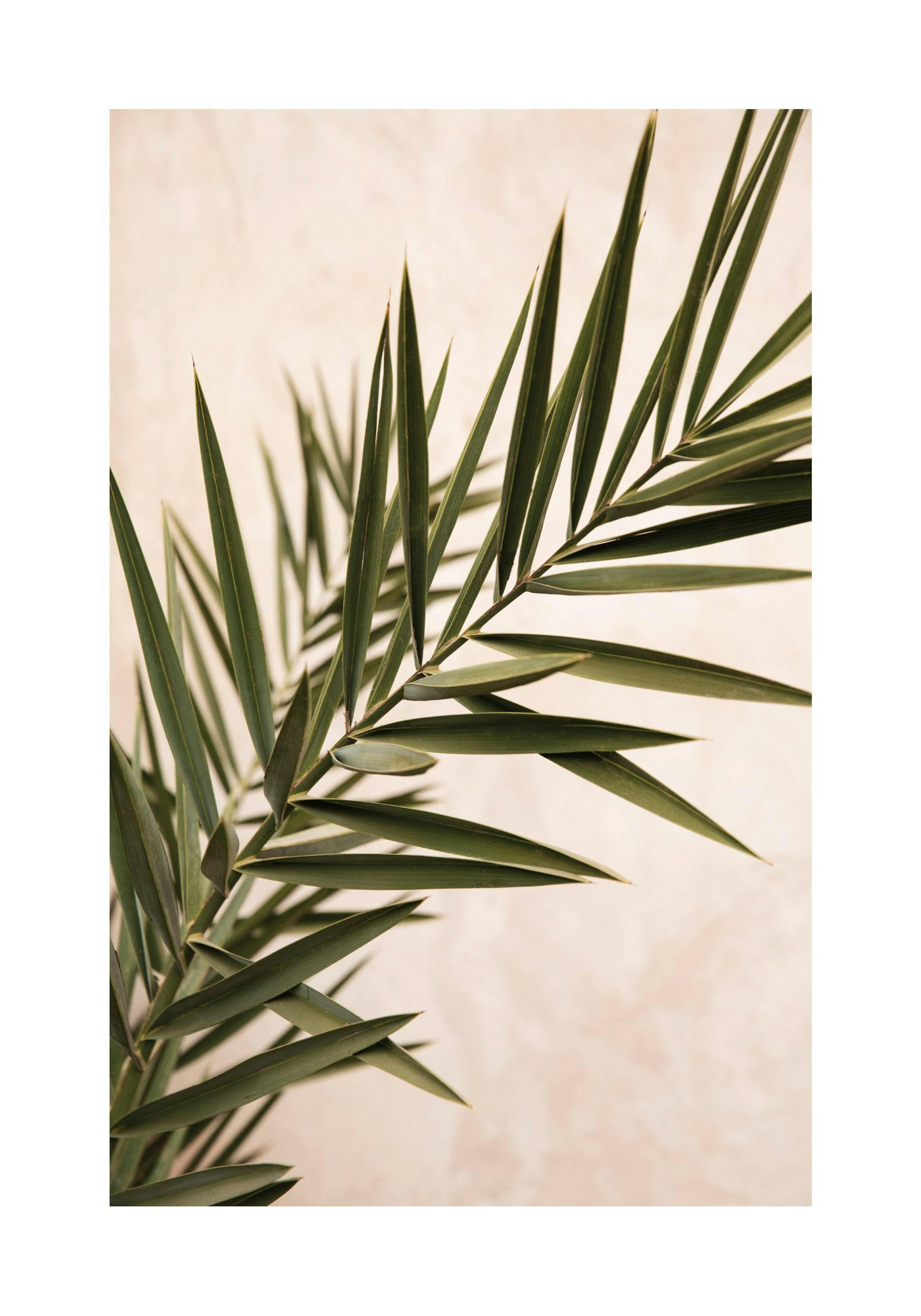 Product image: 1