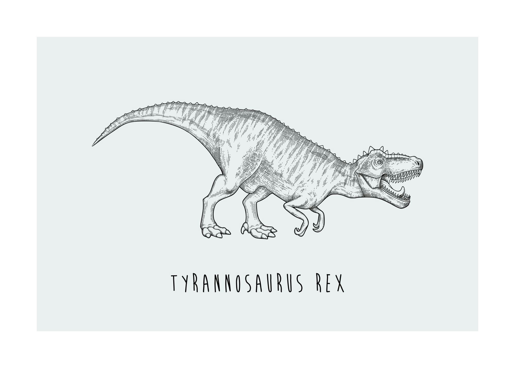 Poster du dinosaure Tyrannosaurus Rex détaillé, en noir et blanc, sur fond gris clair.