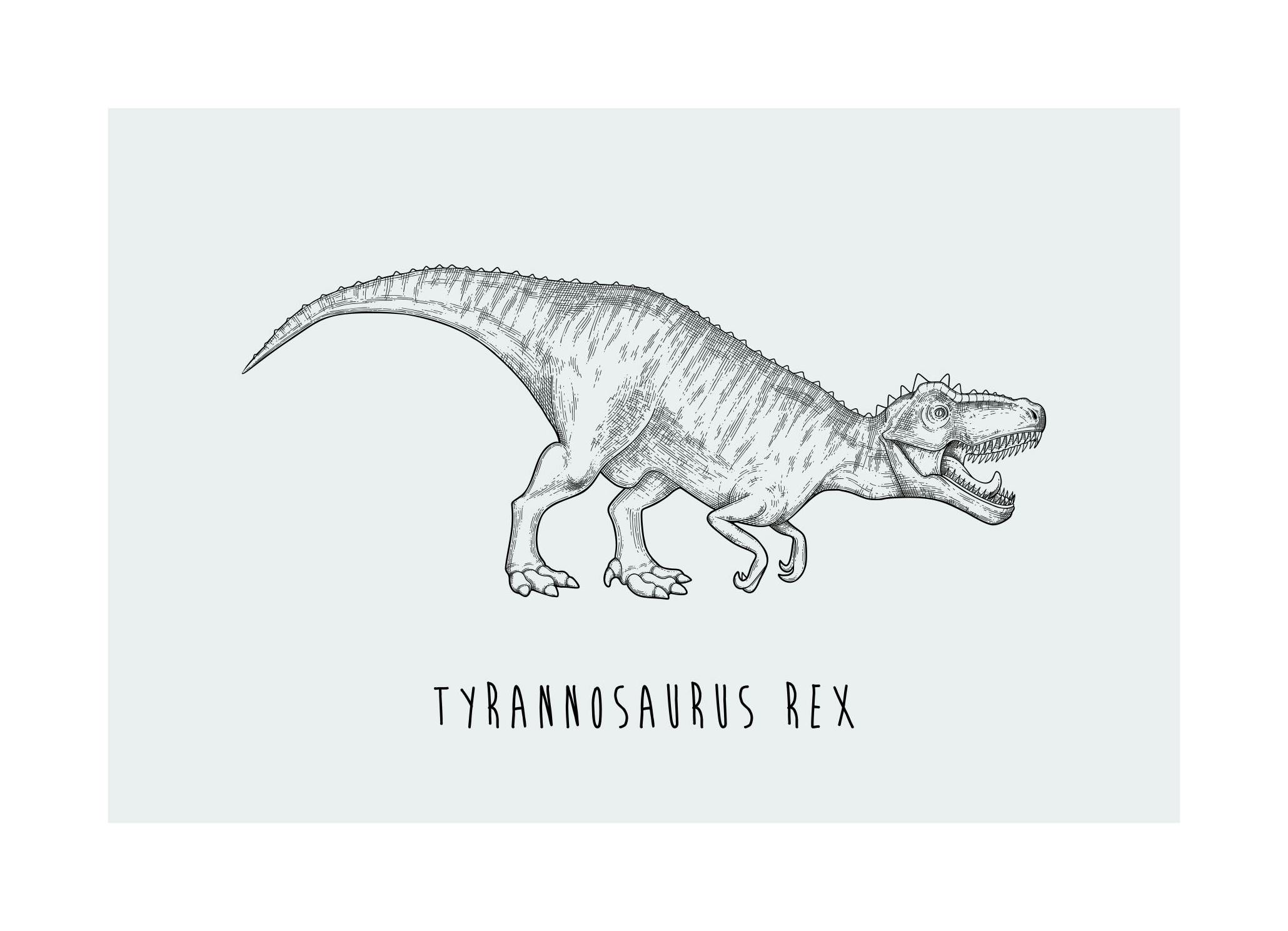 Tyrannosaurus Rex Poster (21x30 cm) - Poster Store