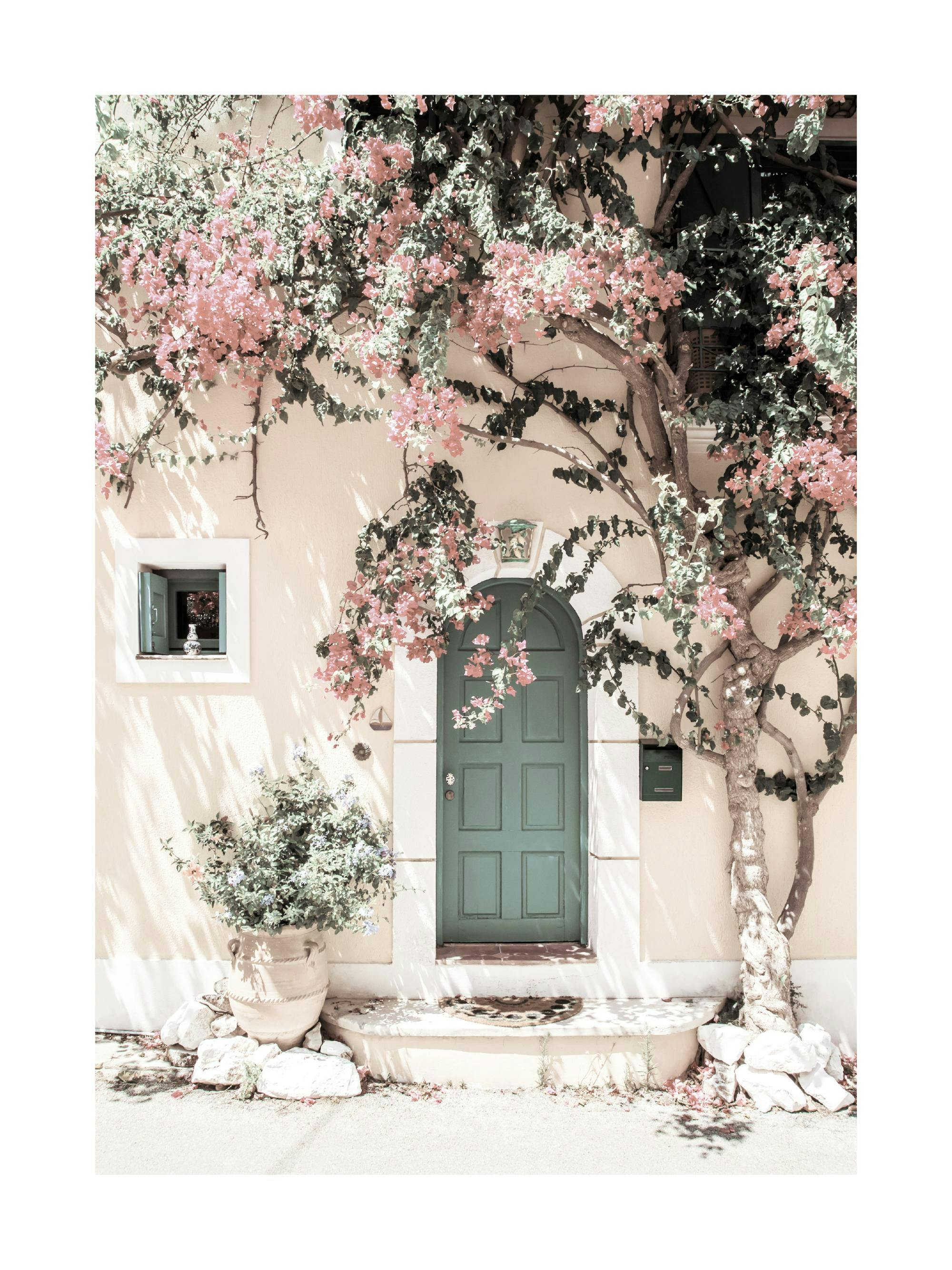 Poster dune façade méditerranéenne avec une porte verte et un bougainvillier rose fleuri.