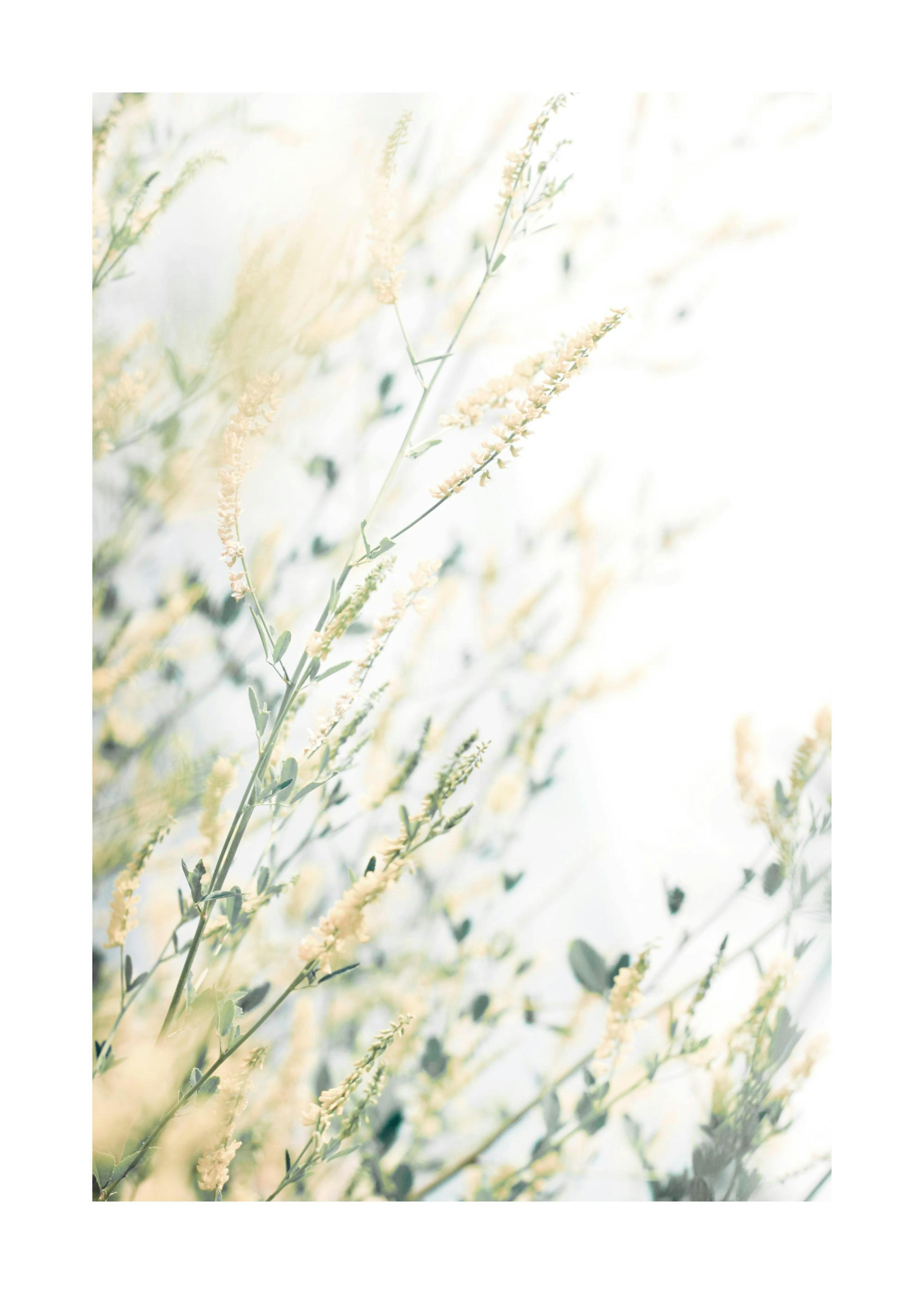 Leuchtende Blumen Poster 0