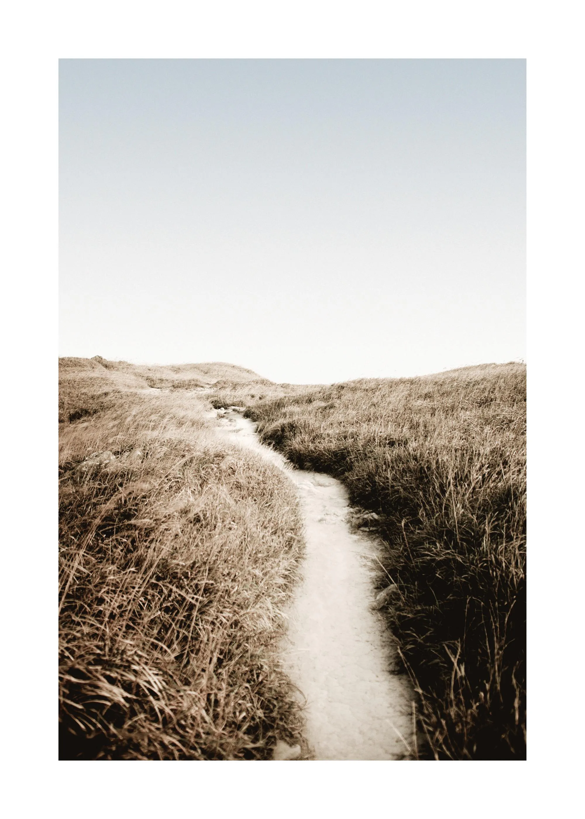 A sepia-toned poster of a winding path through tall, dry grass under a bright sky.