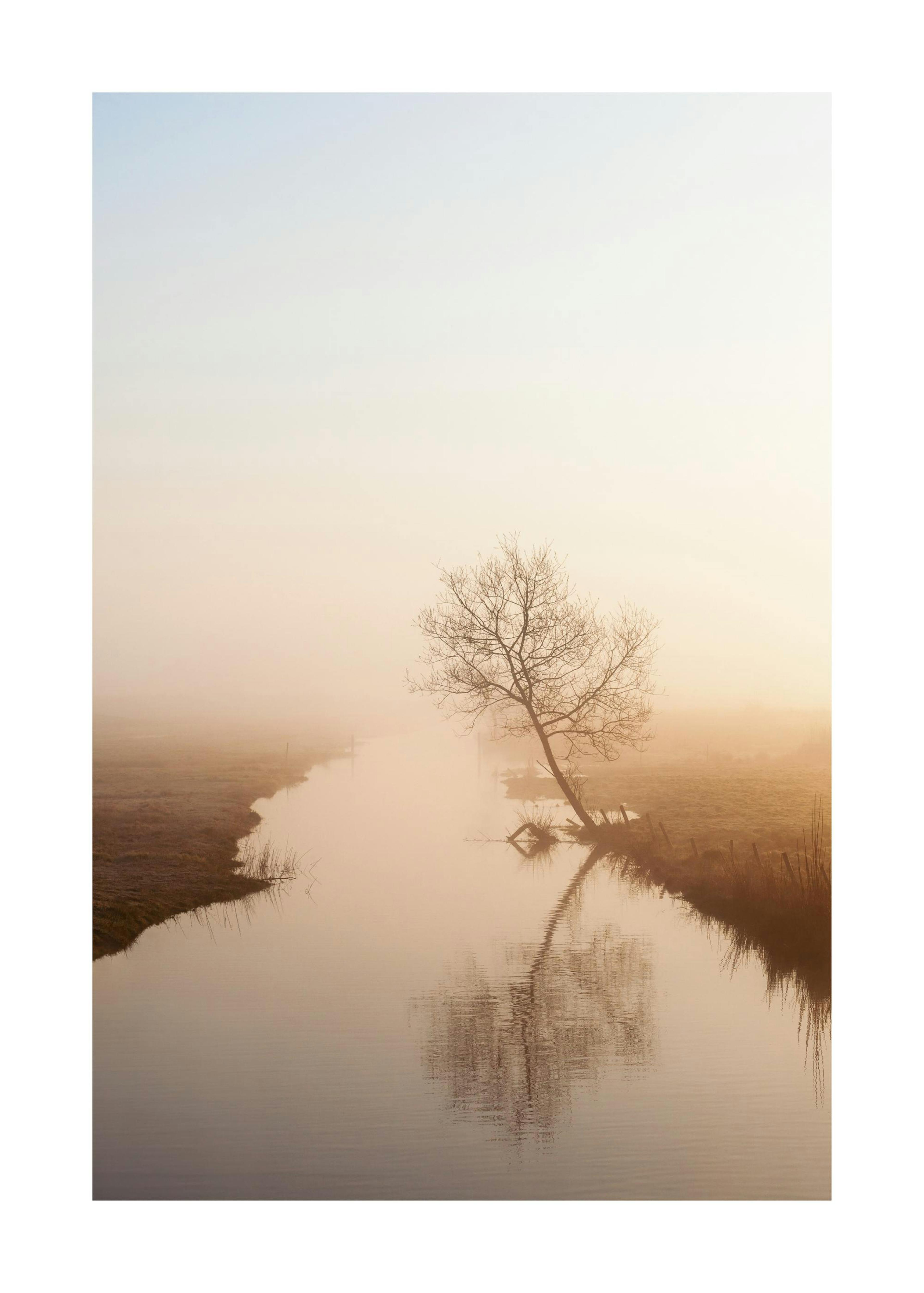 Misty Morning Poster 0