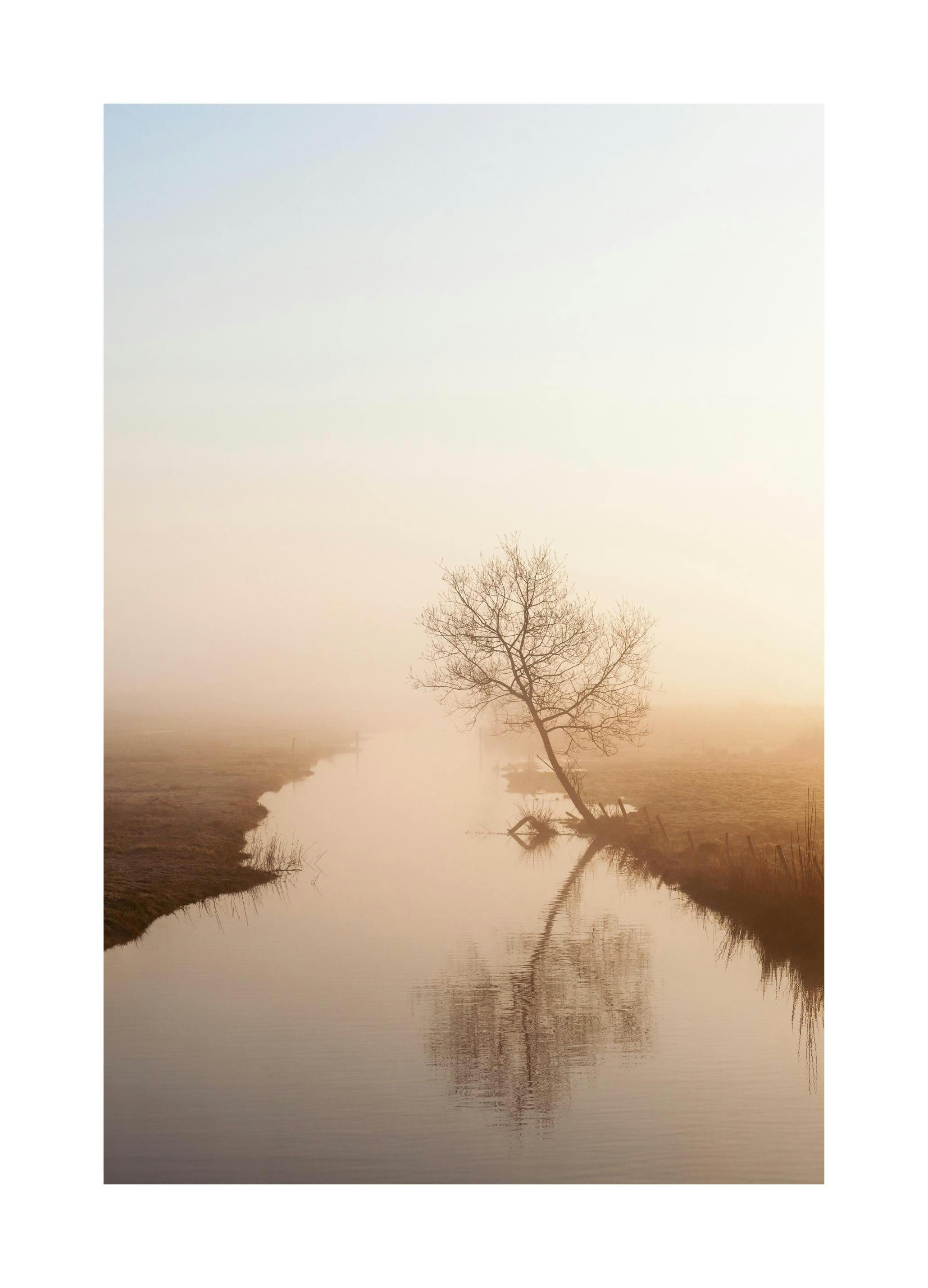 Misty Morning Poster (30x40 cm) - Poster Store