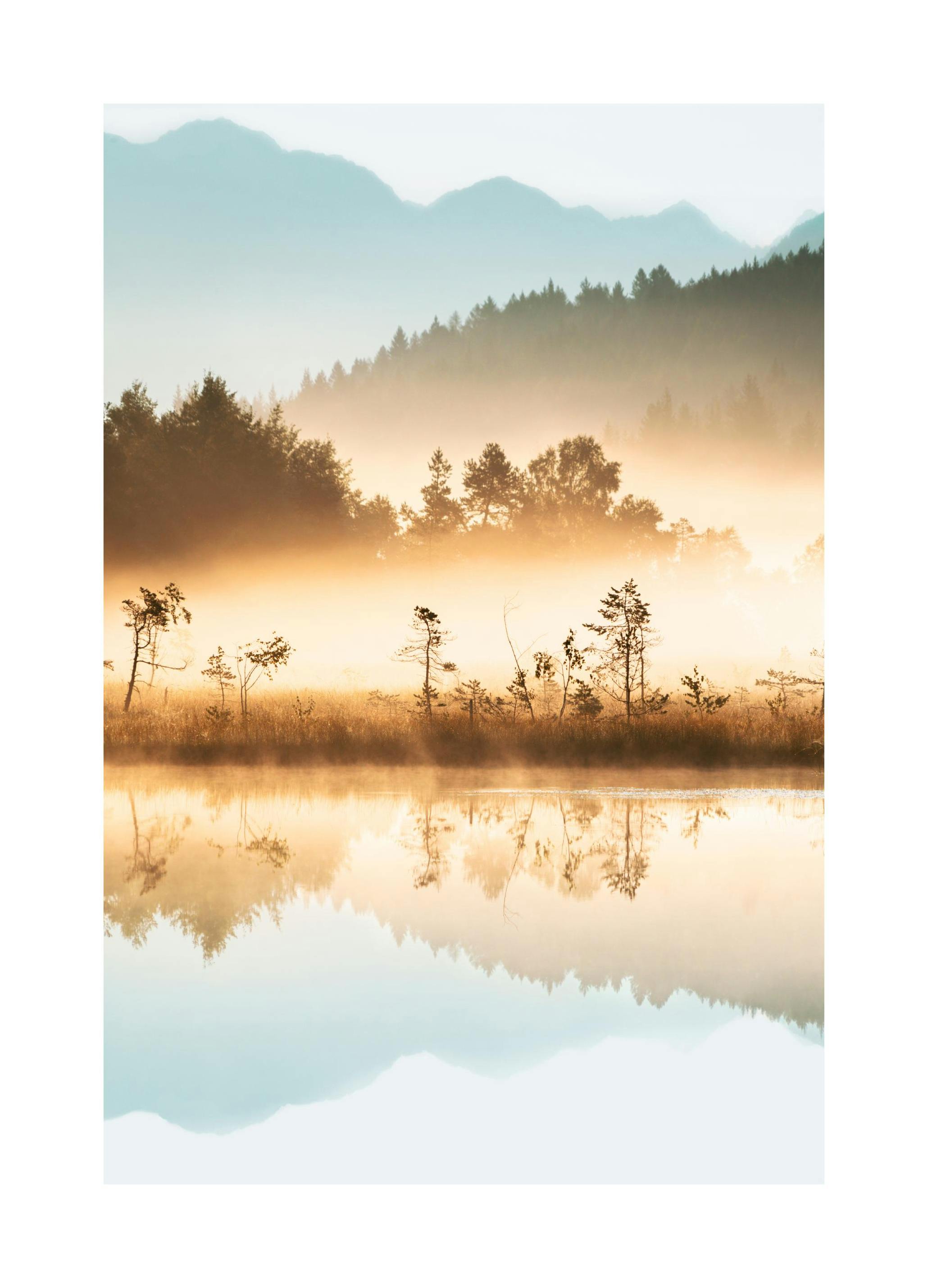 Plakat Mglista Natura (50x70 cm) - Poster Store